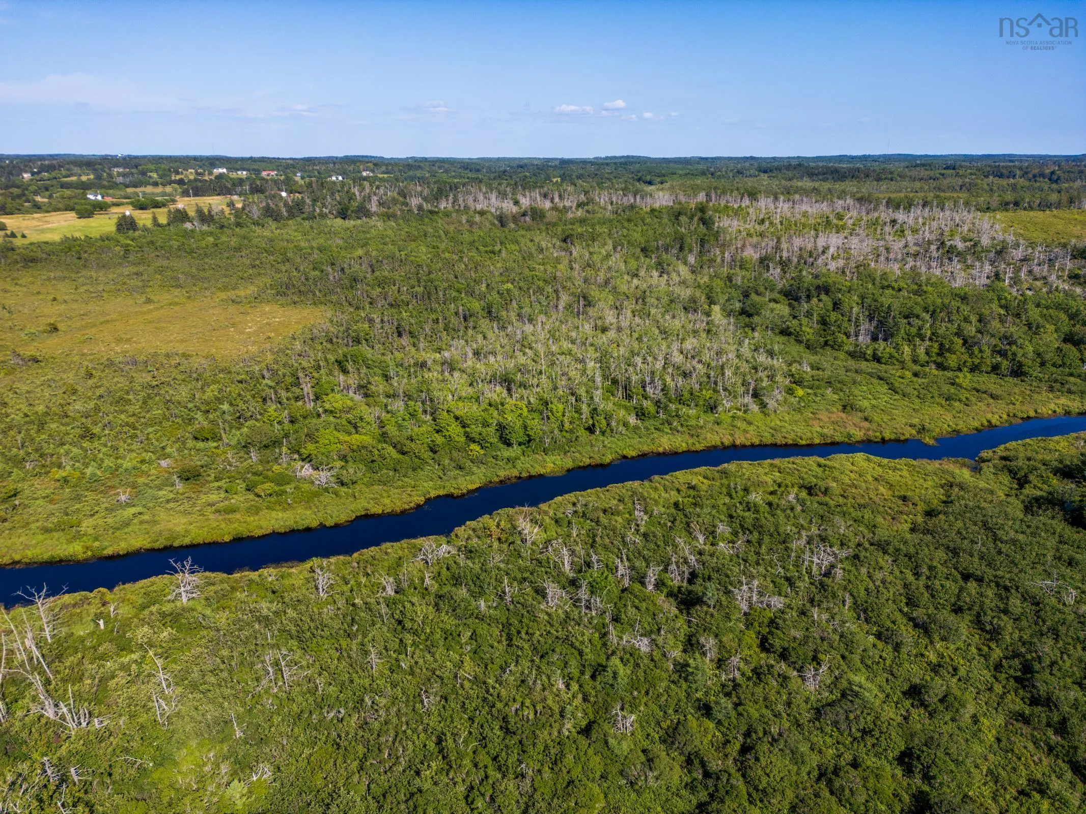Lot Highway 1, Comeauville, NS B0W 2Z0, ,Land,For Sale,Highway 1,202519834