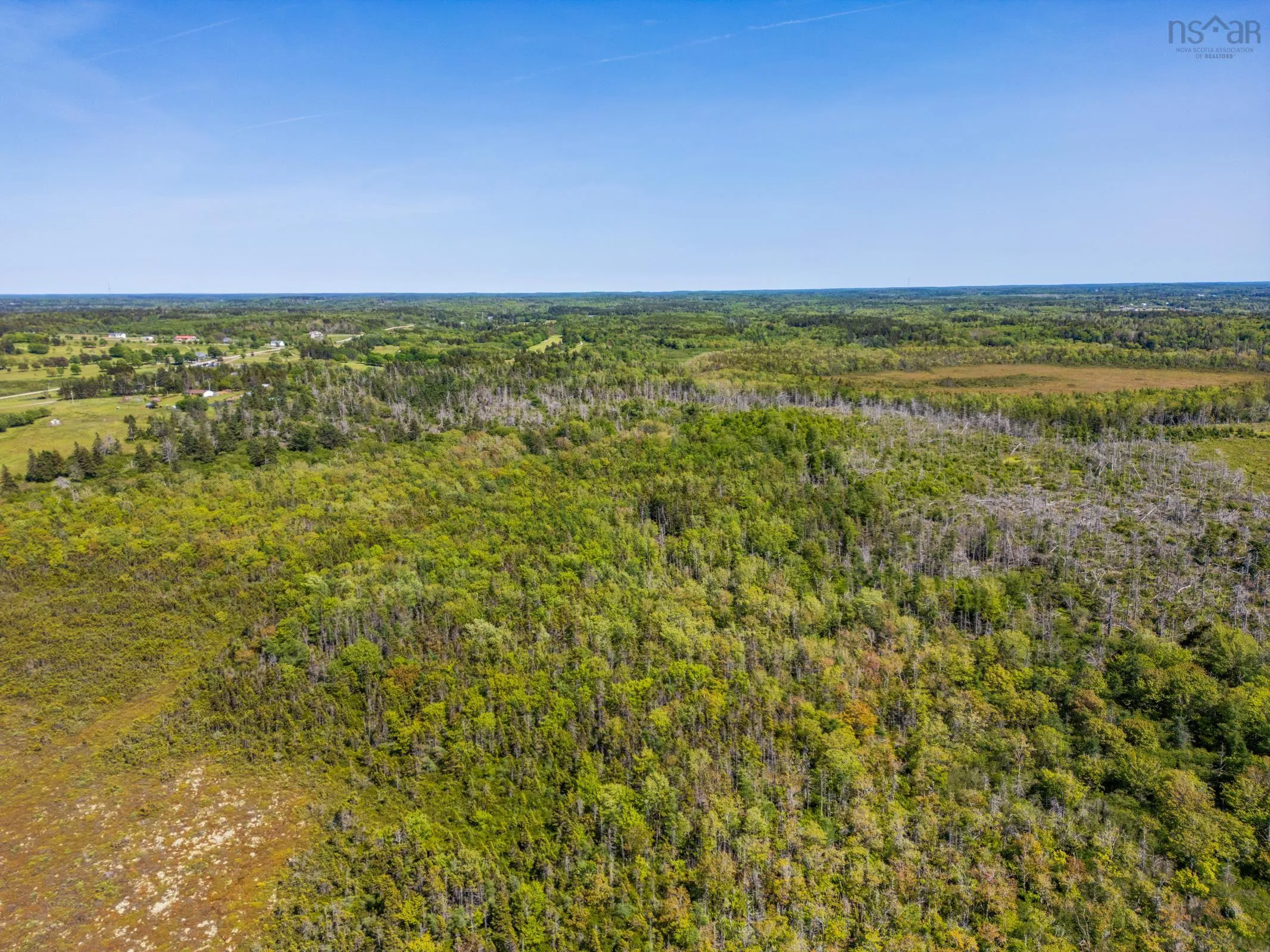 Lot Highway 1, Comeauville, NS B0W 2Z0, ,Land,For Sale,Highway 1,202519834