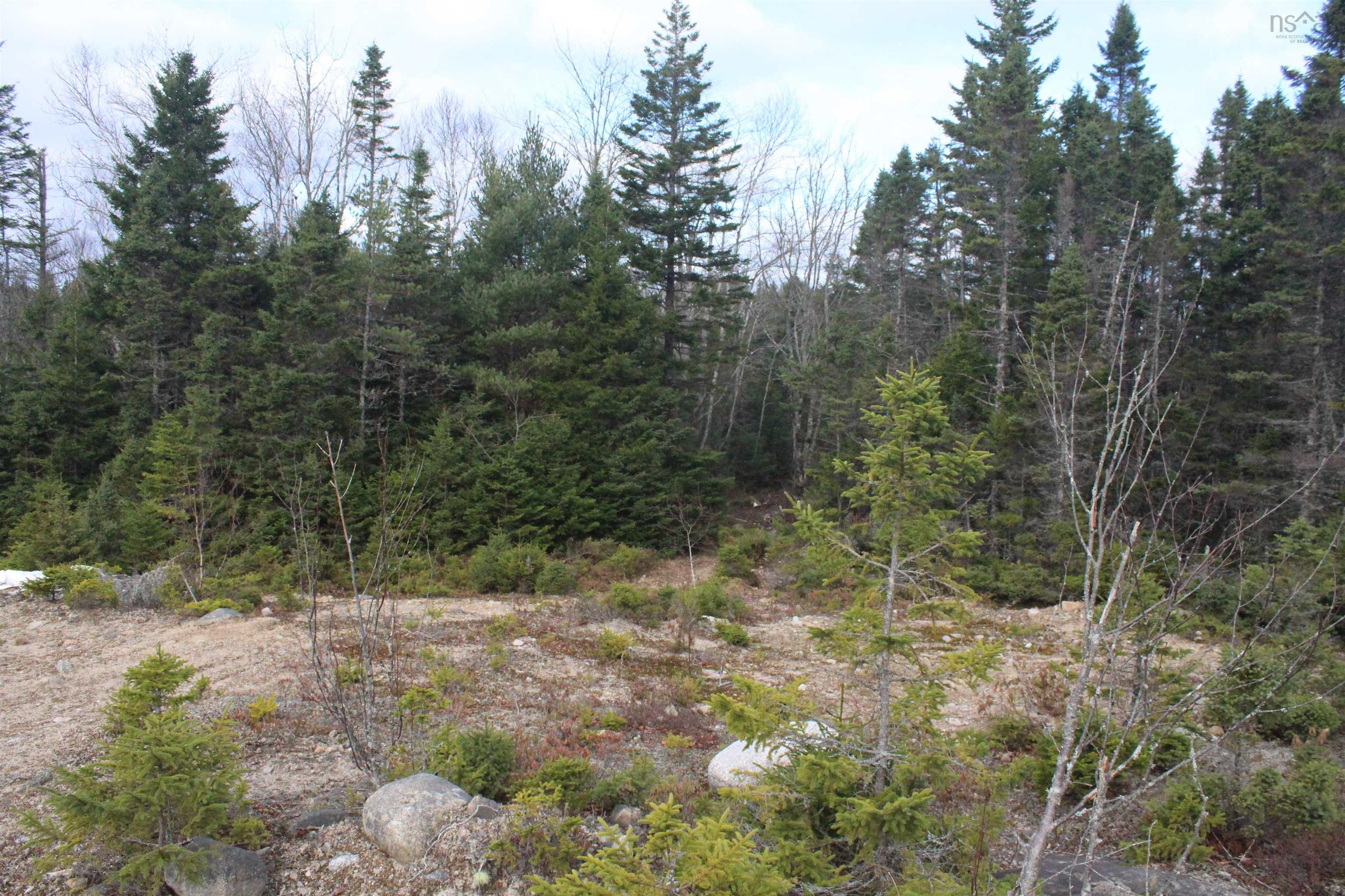 Highway 103, Head Of St. Margarets Bay NS B3Z 1Y1, ,Land,For Sale,Highway 103,202224908