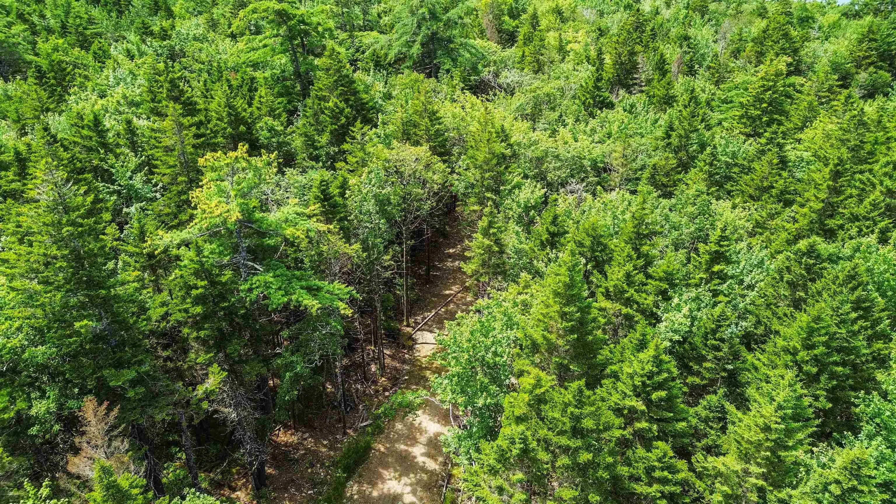 Lot 29 Boutilier Branch Road, Kemptville Ns B0w 1y0, ,Land,For Sale,Boutilier Branch,202500821
