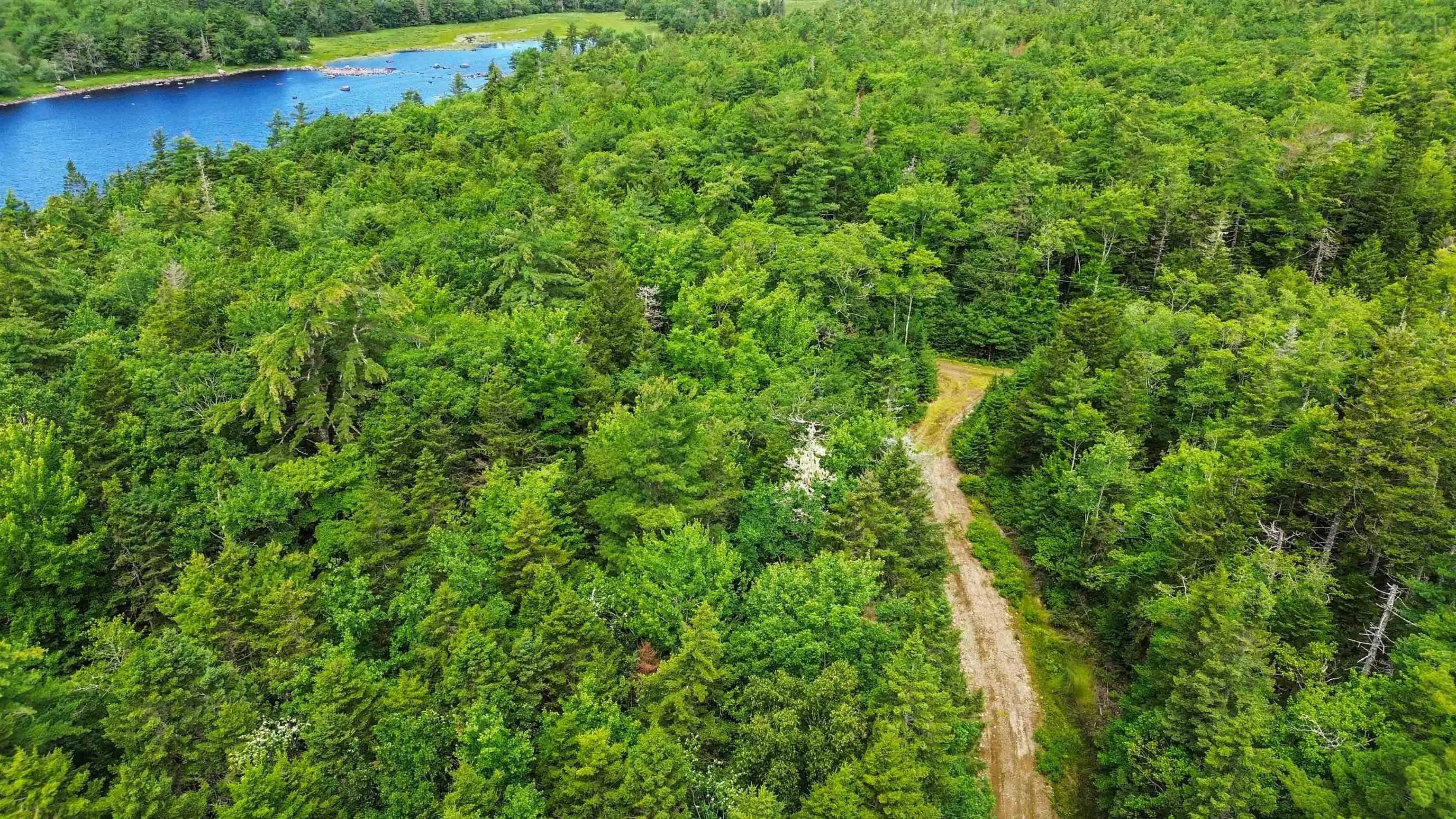 Lot 29 Boutilier Branch Road, Kemptville Ns B0w 1y0, ,Land,For Sale,Boutilier Branch,202500821