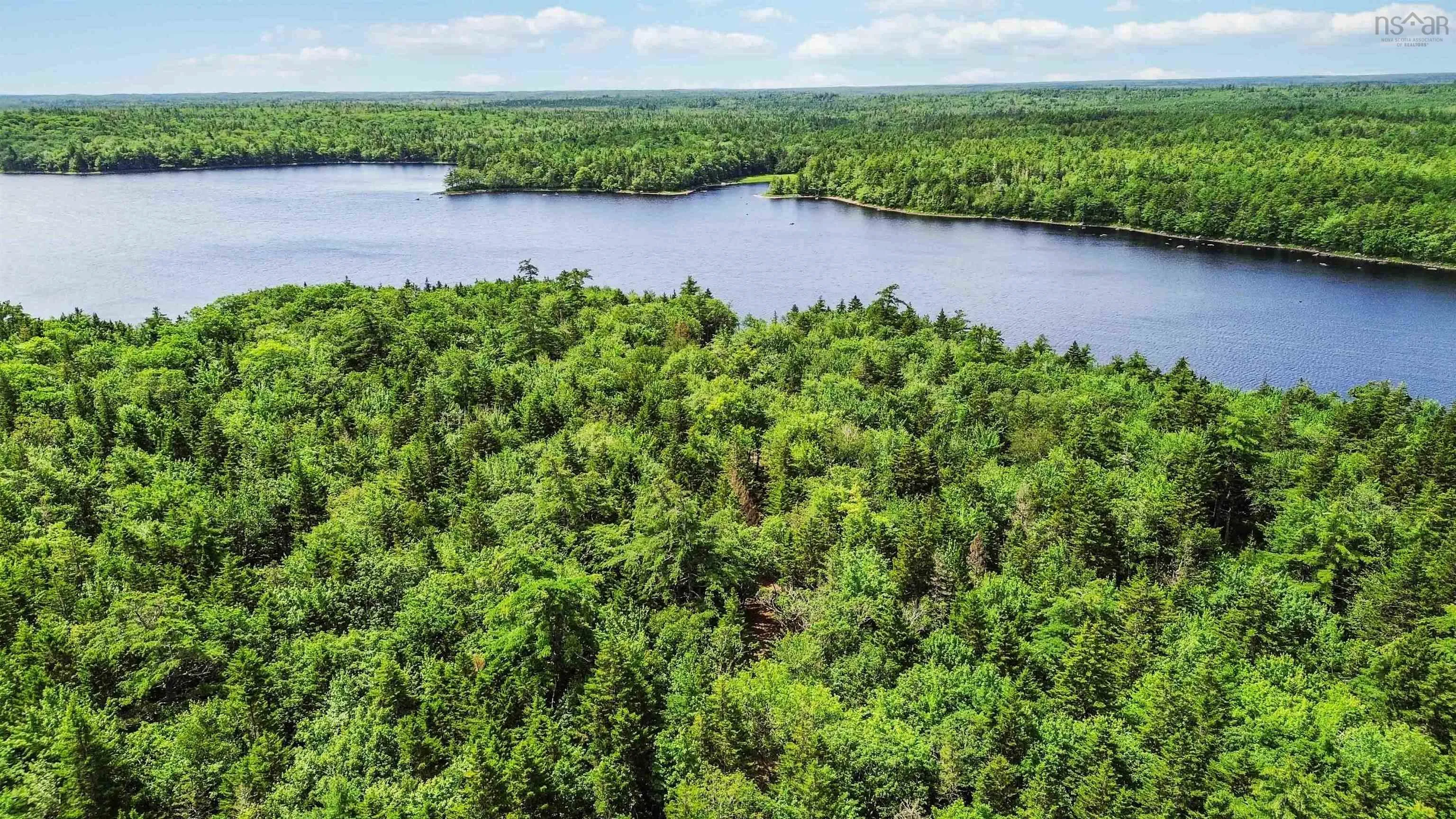 Lot 29 Boutilier Branch Road, Kemptville Ns B0w 1y0, ,Land,For Sale,Boutilier Branch,202500821