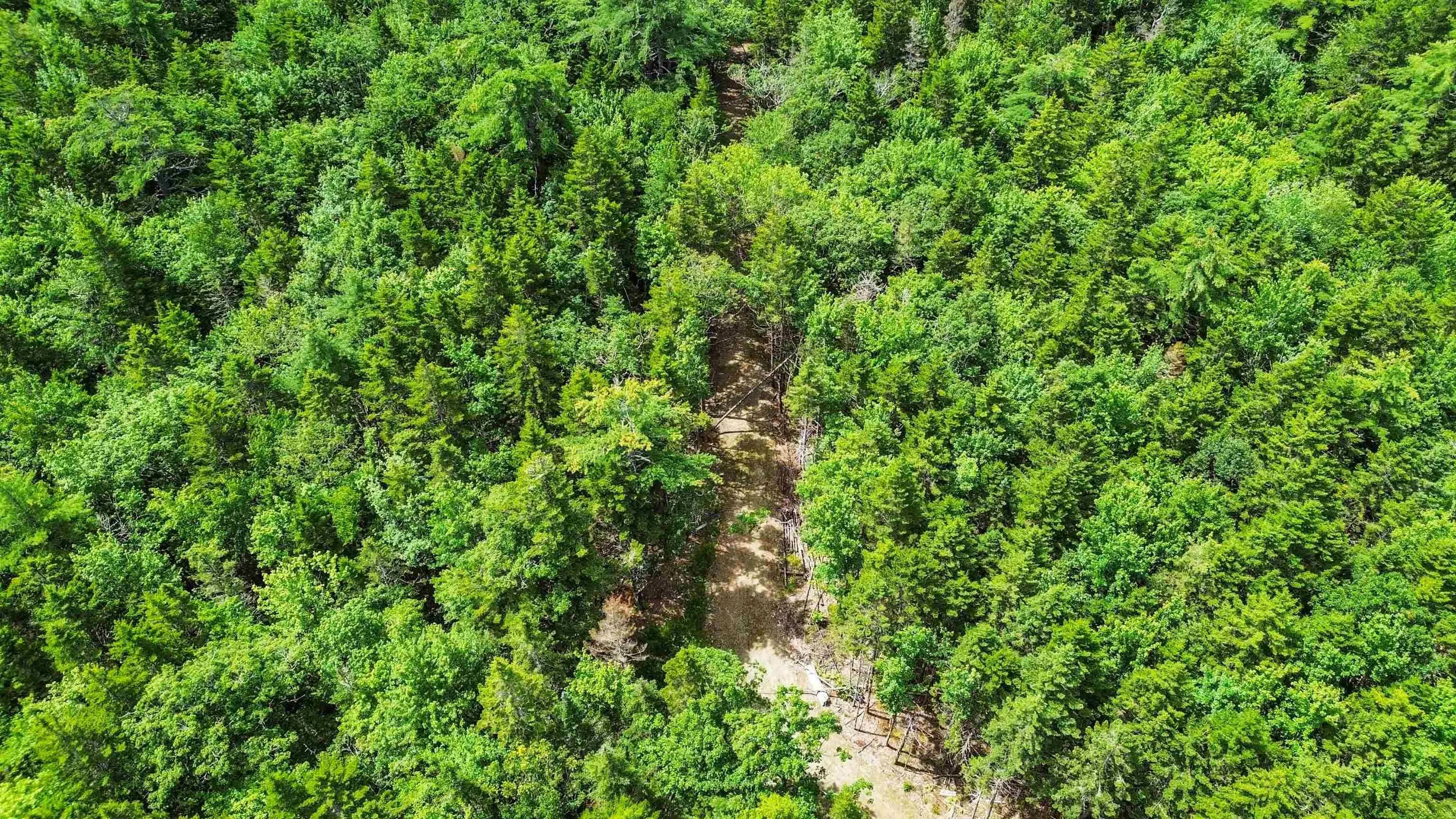 Lot 29 Boutilier Branch Road, Kemptville Ns B0w 1y0, ,Land,For Sale,Boutilier Branch,202500821