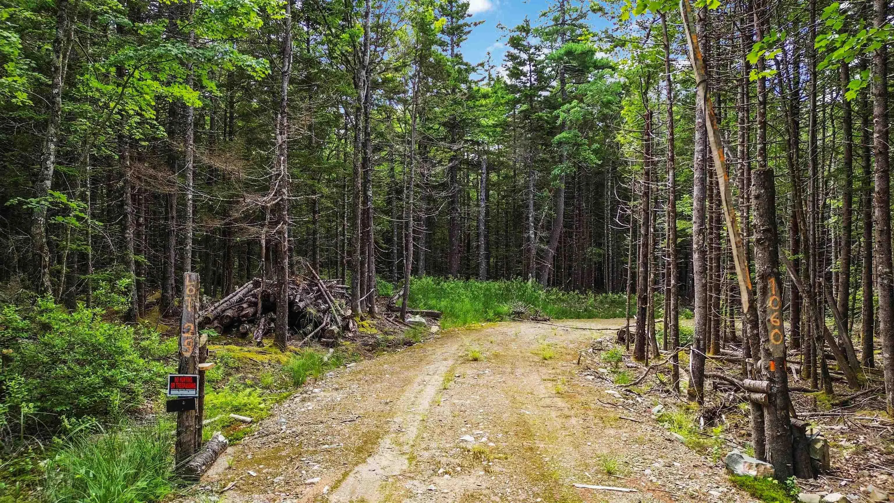 Lot 29 Boutilier Branch Road, Kemptville Ns B0w 1y0, ,Land,For Sale,Boutilier Branch,202500821