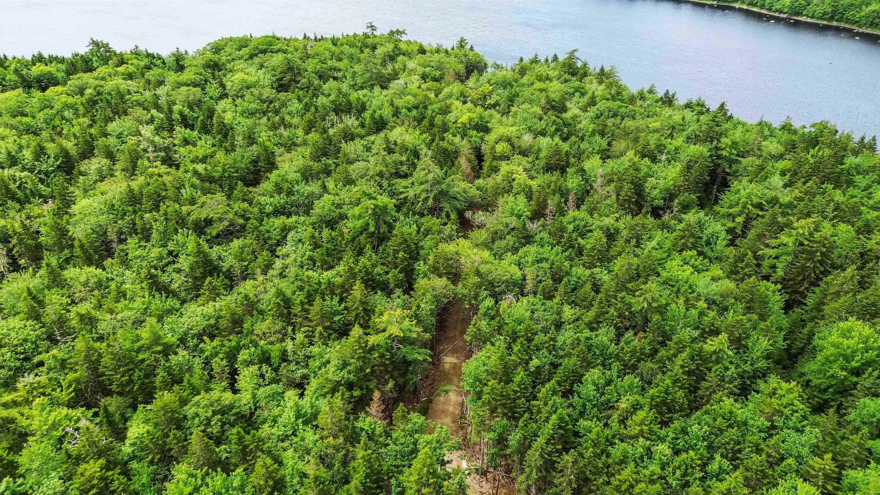 Lot 29 Boutilier Branch Road, Kemptville Ns B0w 1y0, ,Land,For Sale,Boutilier Branch,202500821