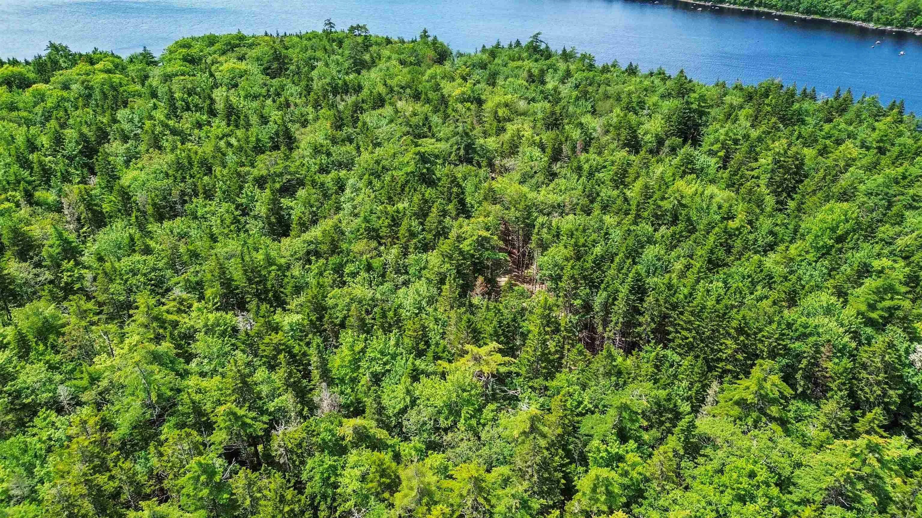 Lot 29 Boutilier Branch Road, Kemptville Ns B0w 1y0, ,Land,For Sale,Boutilier Branch,202500821