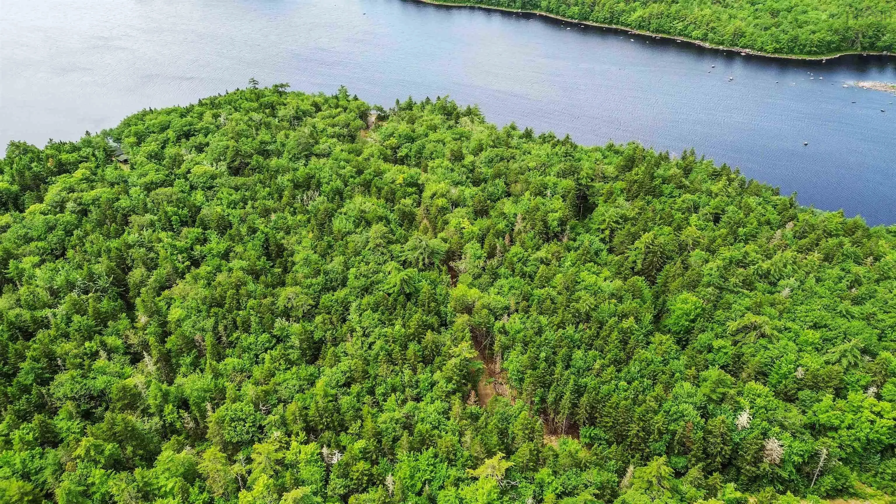 Lot 29 Boutilier Branch Road, Kemptville Ns B0w 1y0, ,Land,For Sale,Boutilier Branch,202500821