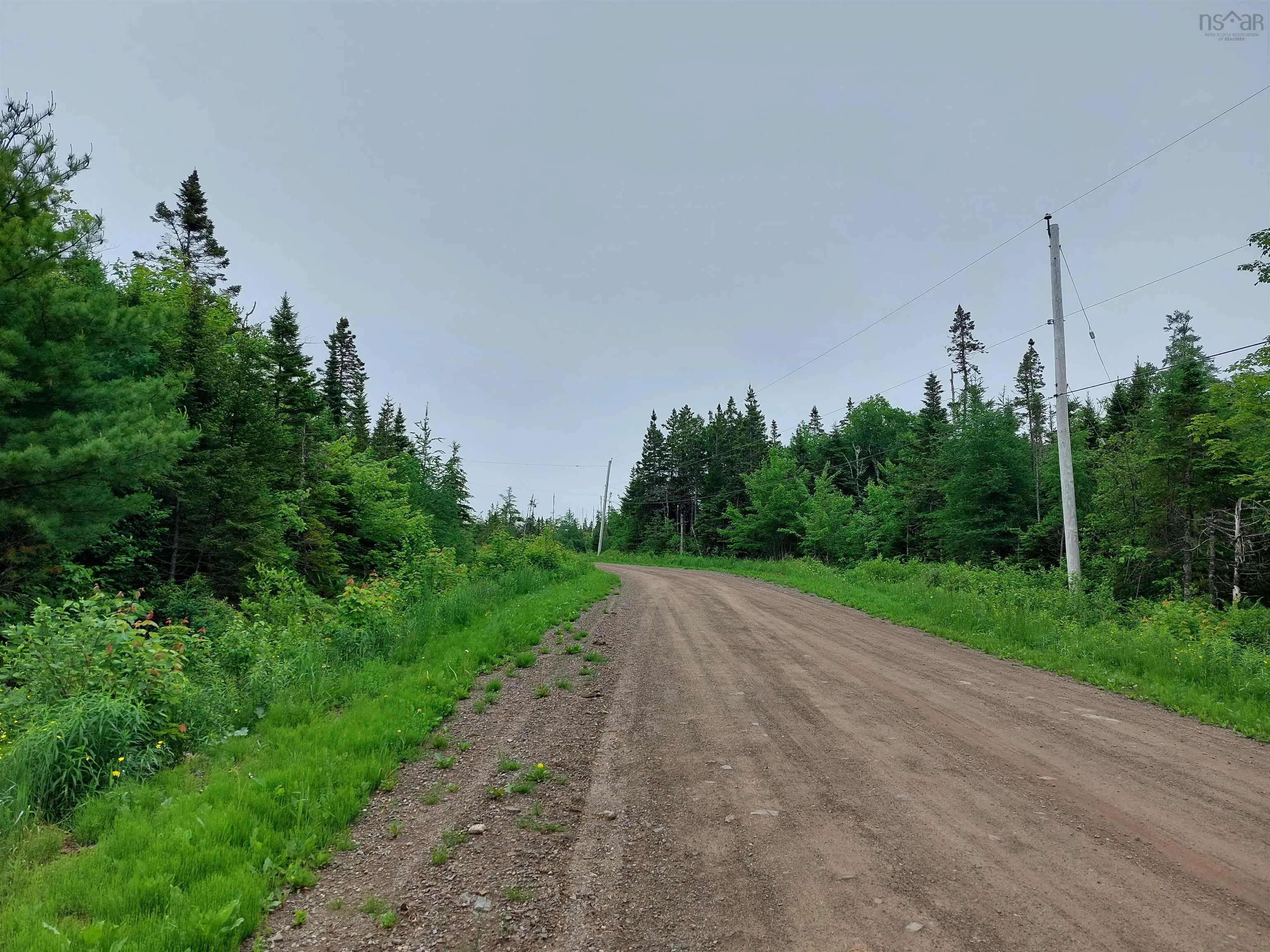 Lot 16 Walkerville Rd., Walkerville, NS B0E 1J0, ,Land,For Sale,Walkerville Rd.,202519504