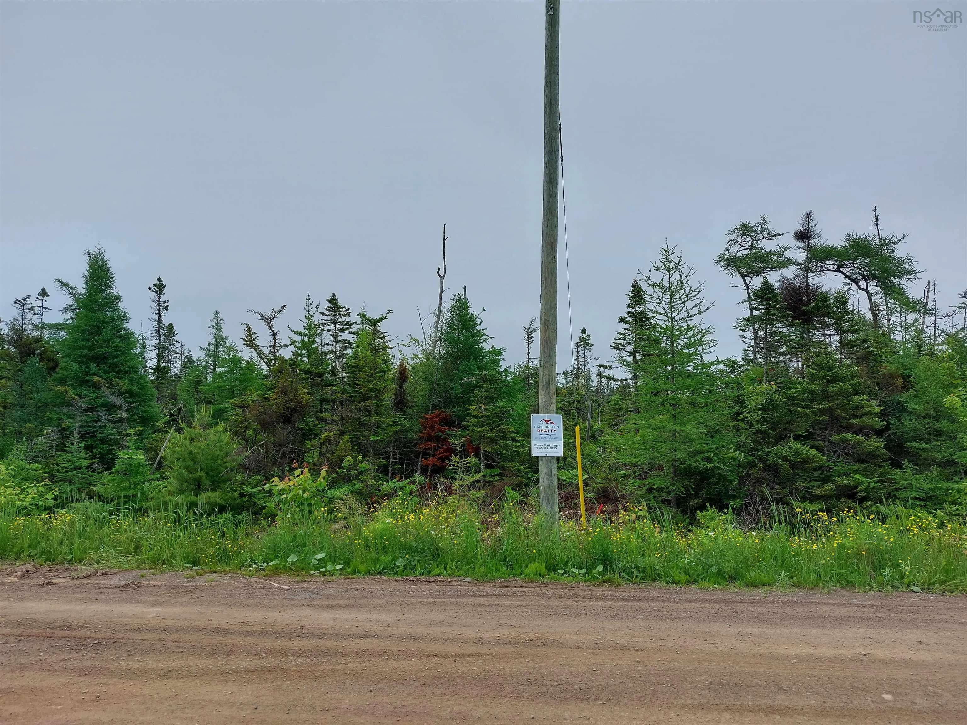 Lot 16 Walkerville Rd., Walkerville, NS B0E 1J0, ,Land,For Sale,Walkerville Rd.,202519504