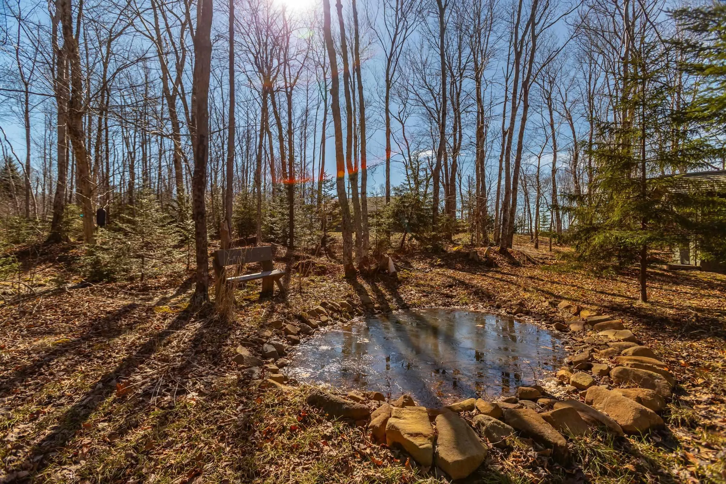 580 Rumsey Lake Road, Arlington West Ns B0s 1l0, 2 Bedrooms Bedrooms, ,1 BathroomBathrooms,Residential,For Sale,Rumsey Lake,202405199