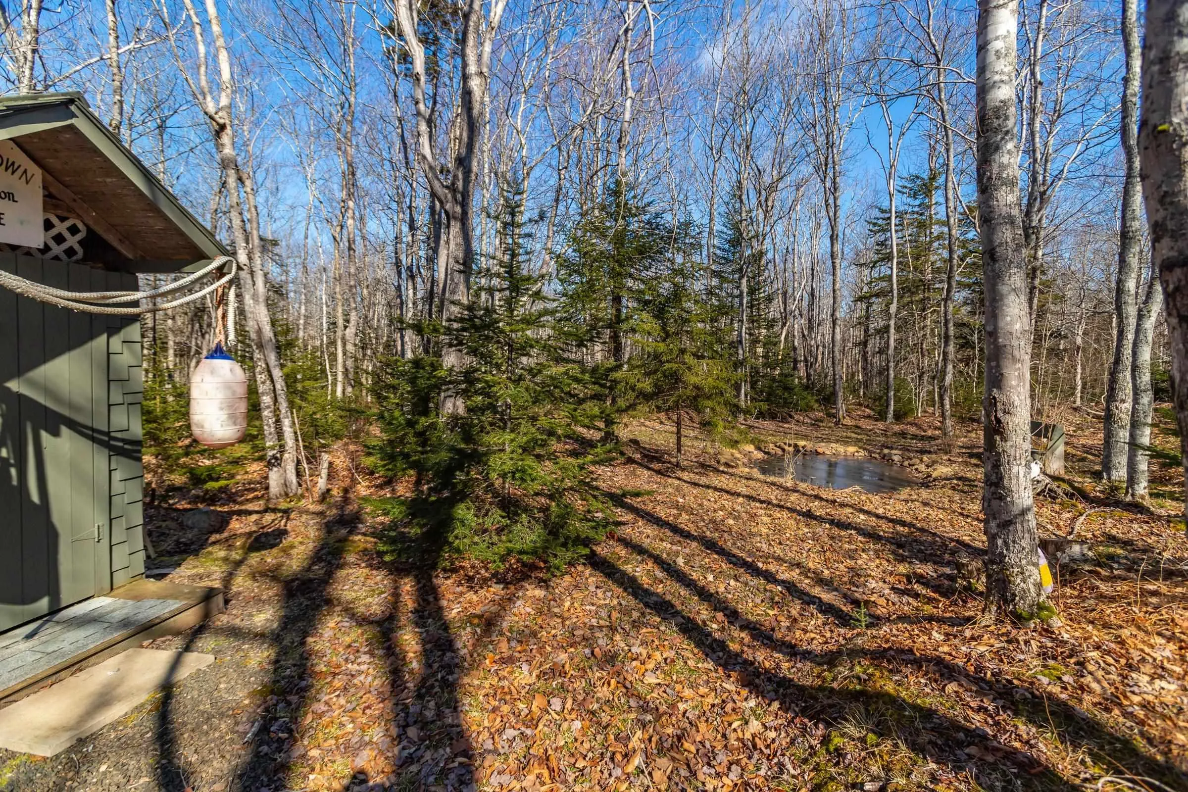 580 Rumsey Lake Road, Arlington West Ns B0s 1l0, 2 Bedrooms Bedrooms, ,1 BathroomBathrooms,Residential,For Sale,Rumsey Lake,202405199
