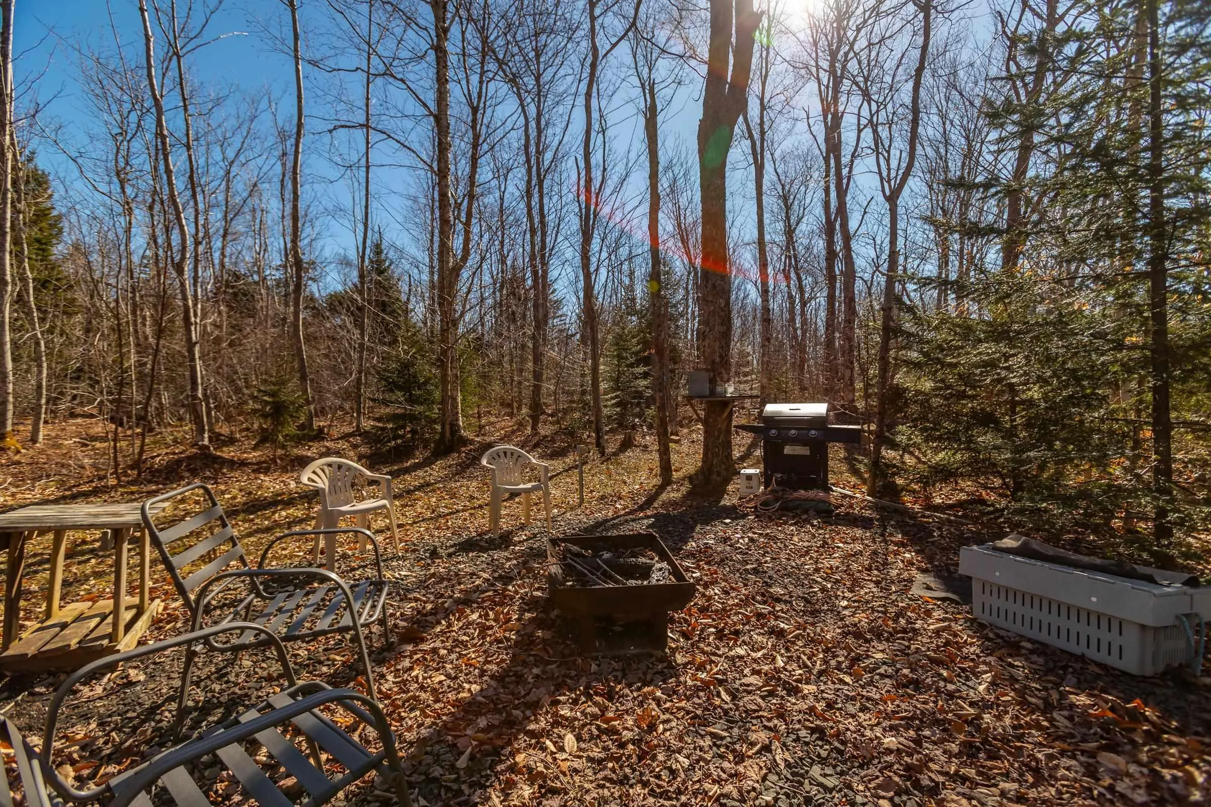 580 Rumsey Lake Road, Arlington West Ns B0s 1l0, 2 Bedrooms Bedrooms, ,1 BathroomBathrooms,Residential,For Sale,Rumsey Lake,202405199