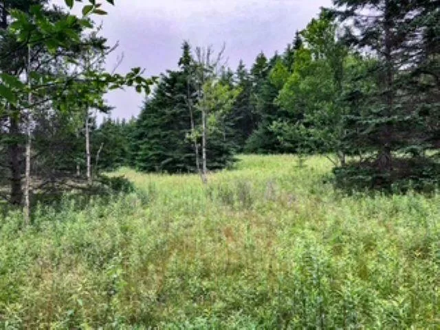 290 East Side Grand River Road, Grand River, NS B0E 1M0, ,Land,For Sale,East Side Grand River,202518594