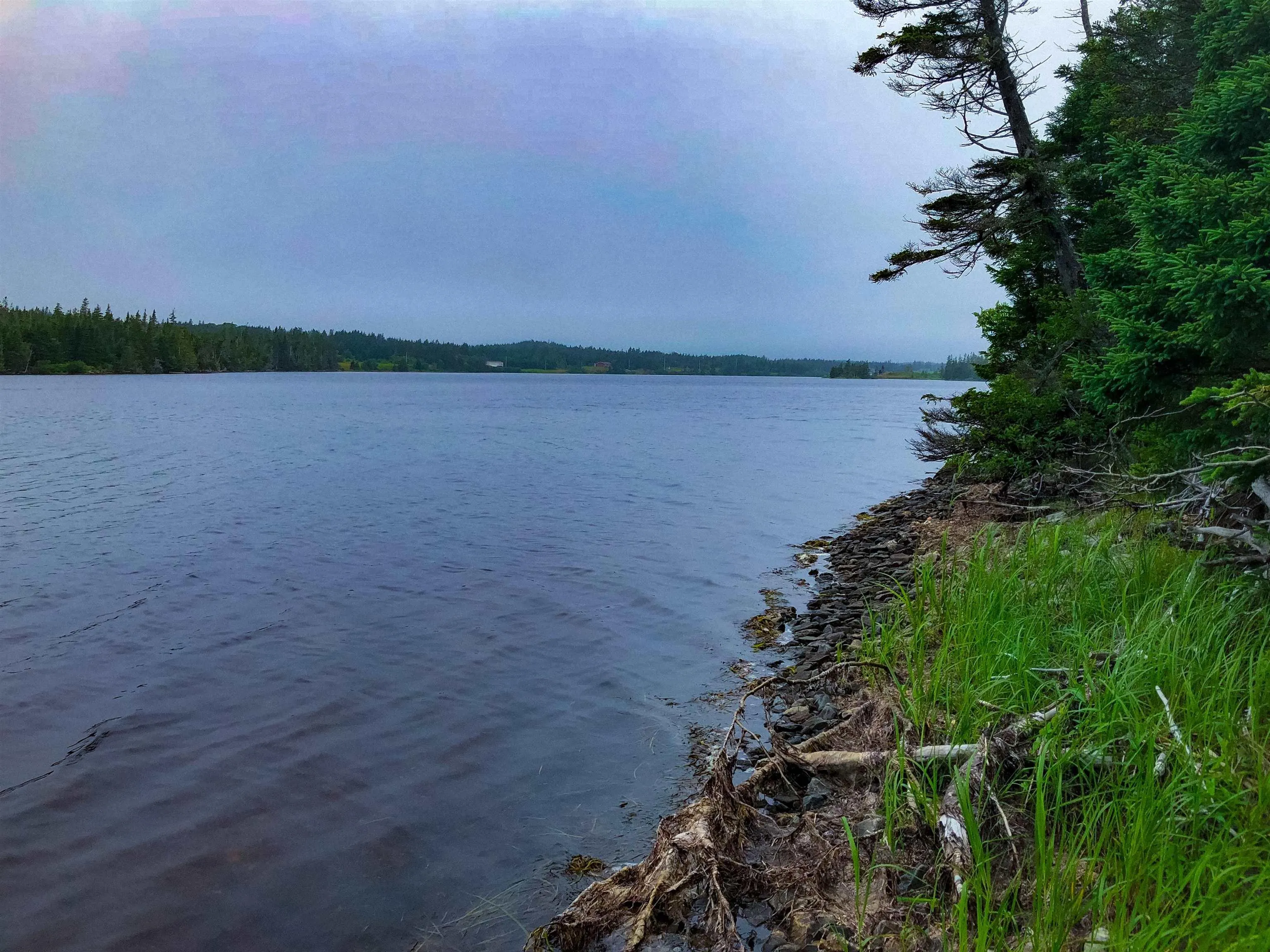 290 East Side Grand River Road, Grand River, NS B0E 1M0, ,Land,For Sale,East Side Grand River,202518594