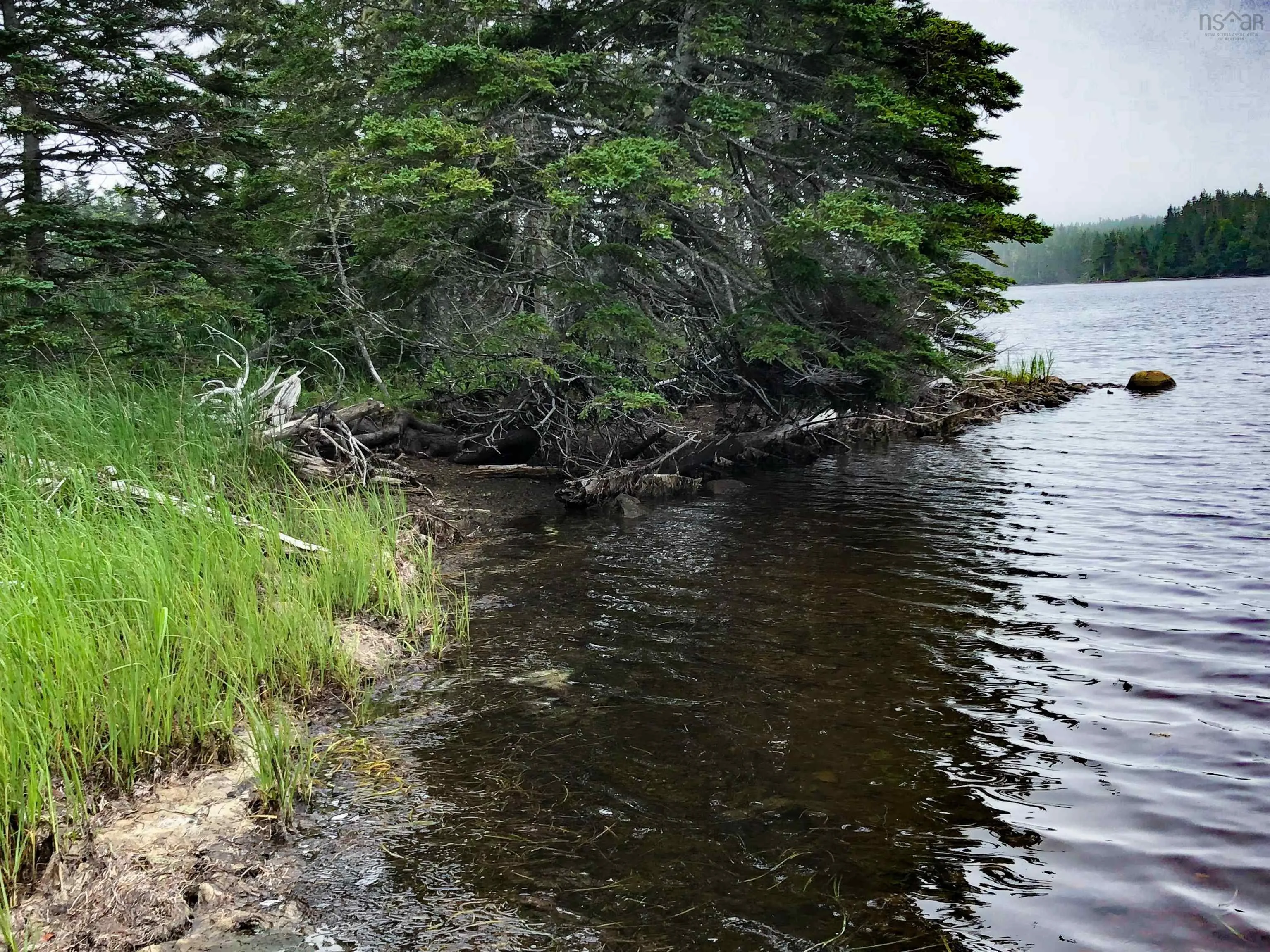 290 East Side Grand River Road, Grand River, NS B0E 1M0, ,Land,For Sale,East Side Grand River,202518594