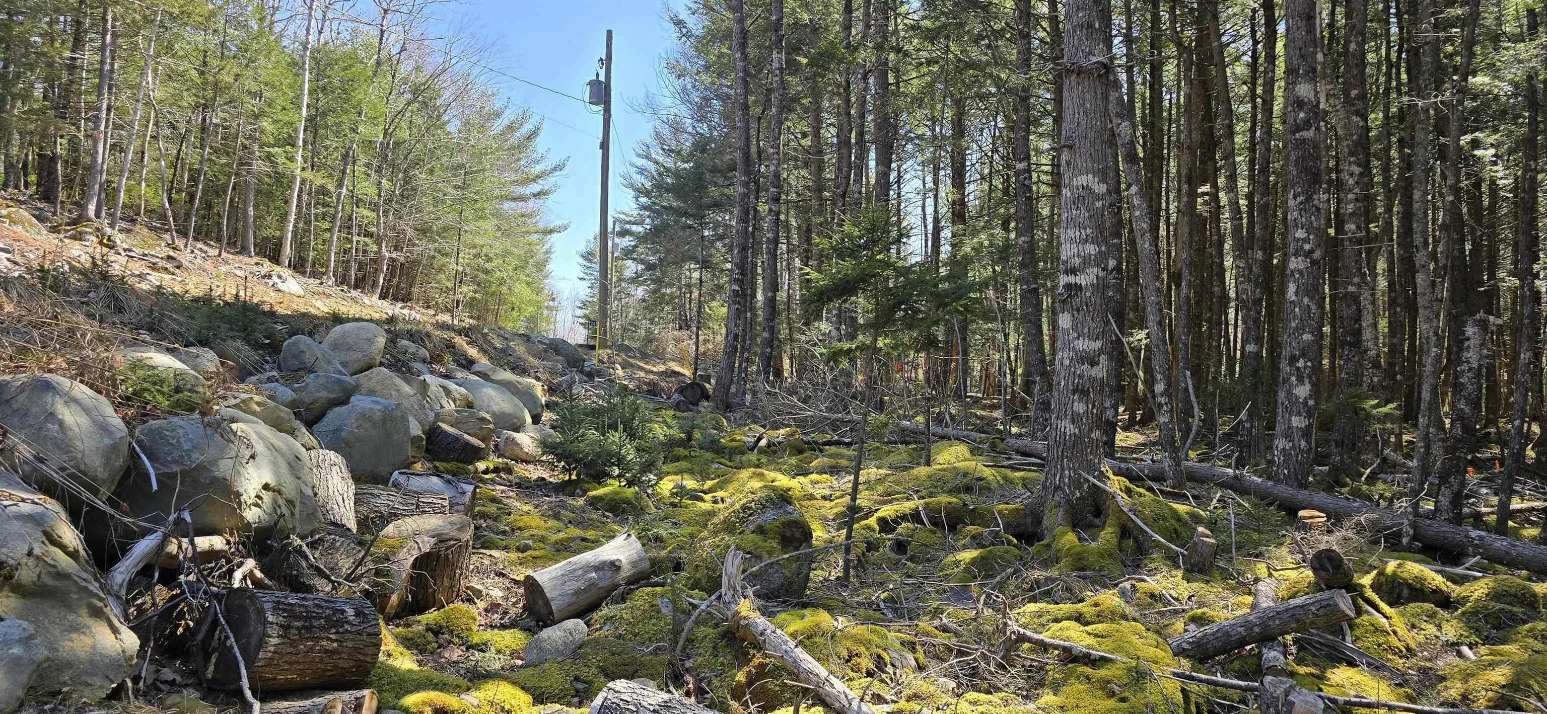 Beaver Row Lot 3, Labelle Ns B0t 1e0, ,Land,For Sale,Beaver,202506927