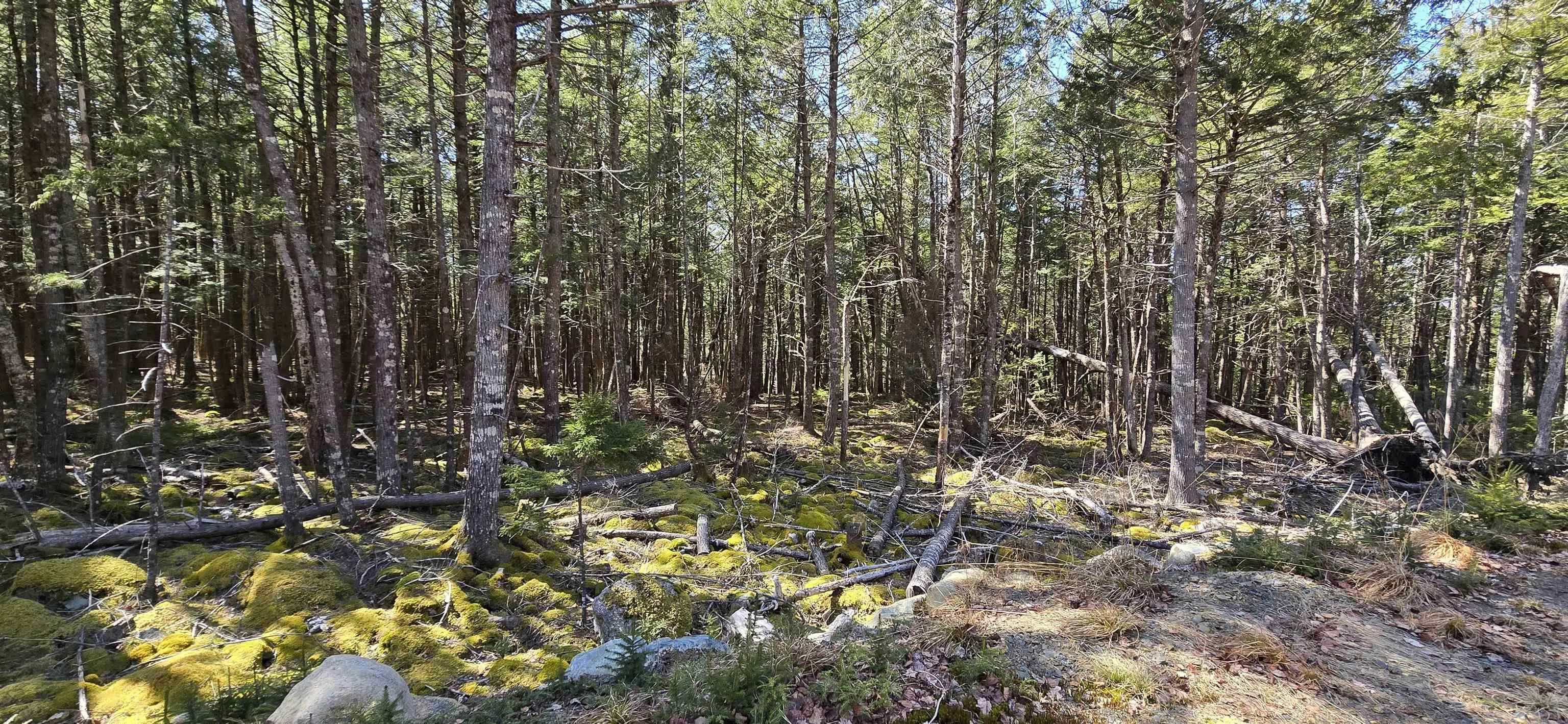 Beaver Row Lot 3, Labelle Ns B0t 1e0, ,Land,For Sale,Beaver,202506927