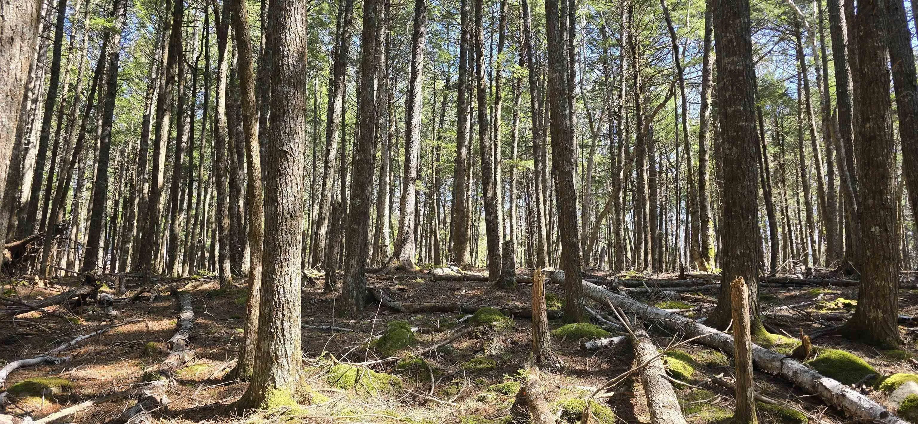 Beaver Row Lot 3, Labelle Ns B0t 1e0, ,Land,For Sale,Beaver,202506927