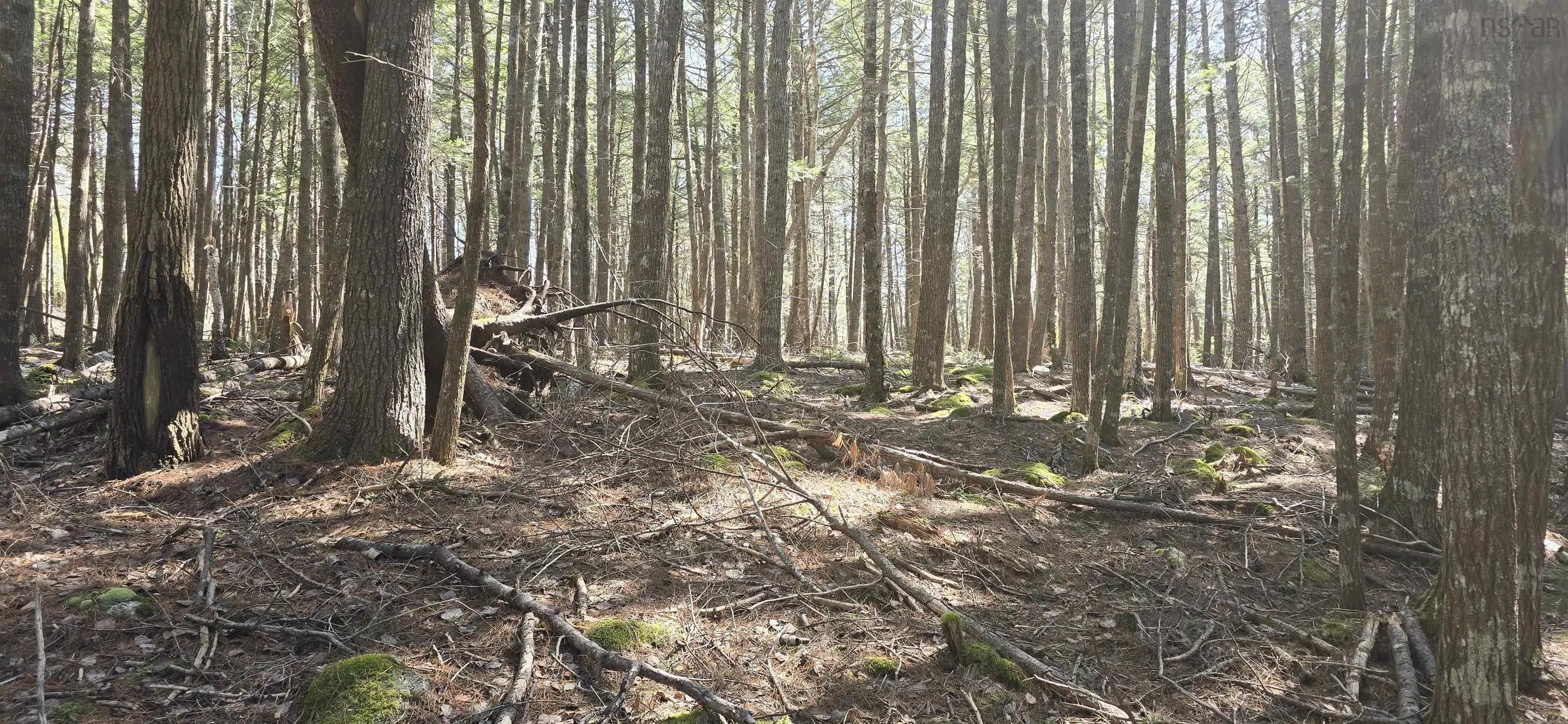 Beaver Row Lot 3, Labelle Ns B0t 1e0, ,Land,For Sale,Beaver,202506927
