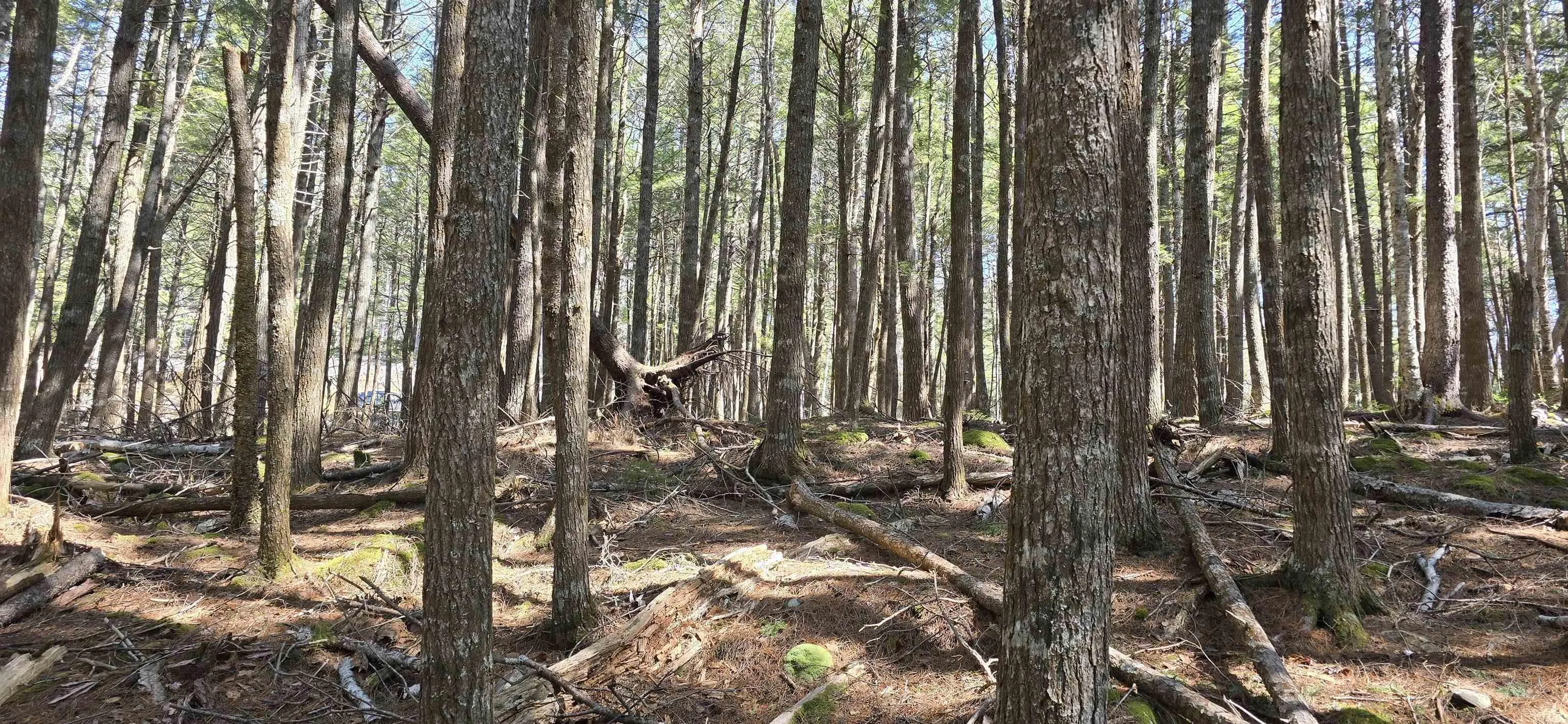 Beaver Row Lot 3, Labelle Ns B0t 1e0, ,Land,For Sale,Beaver,202506927