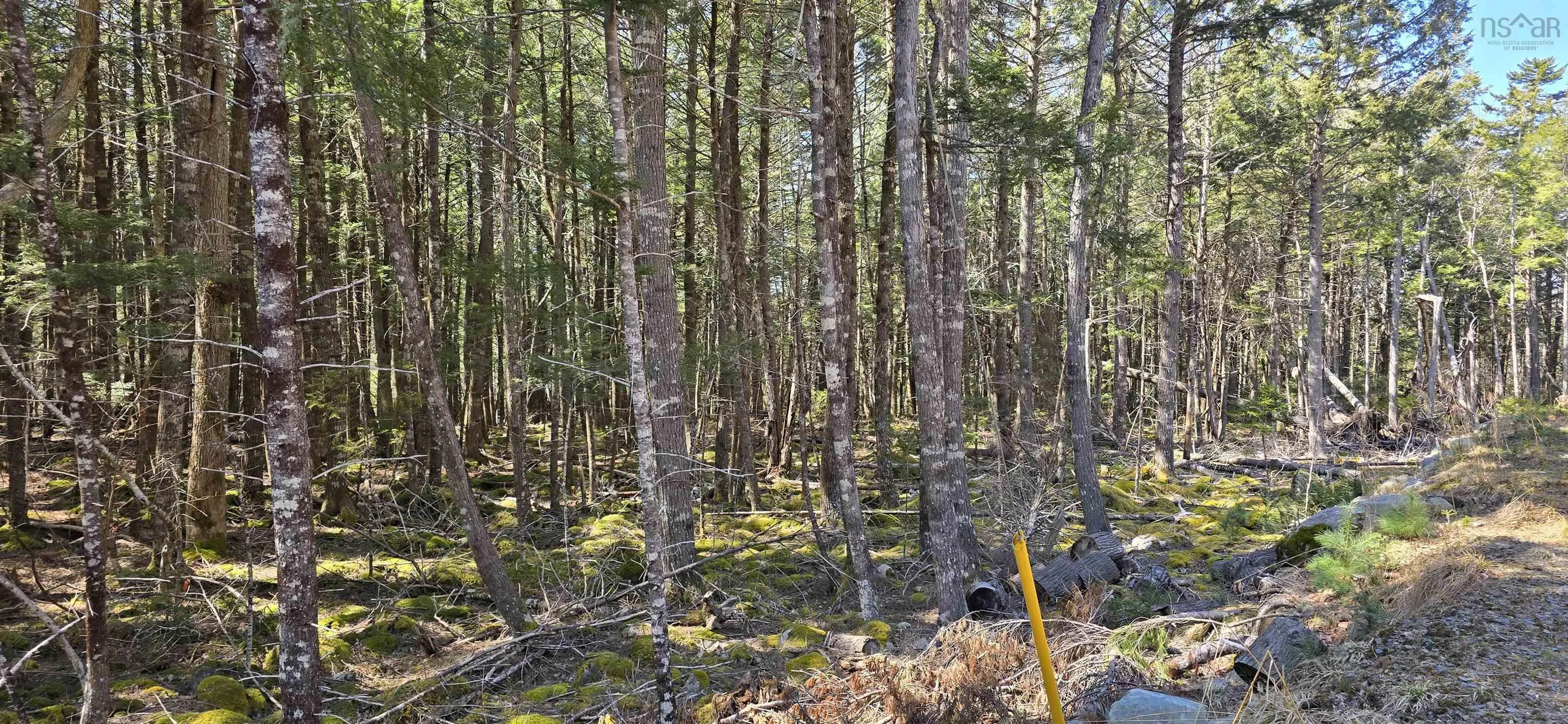 Beaver Row Lot 3, Labelle Ns B0t 1e0, ,Land,For Sale,Beaver,202506927
