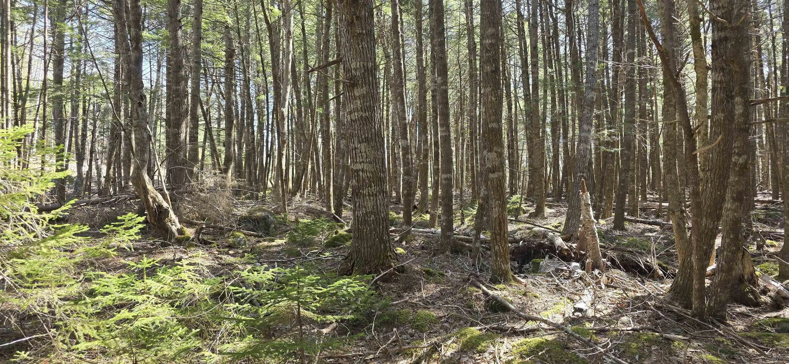 Beaver Row Lot 3, Labelle Ns B0t 1e0, ,Land,For Sale,Beaver,202506927