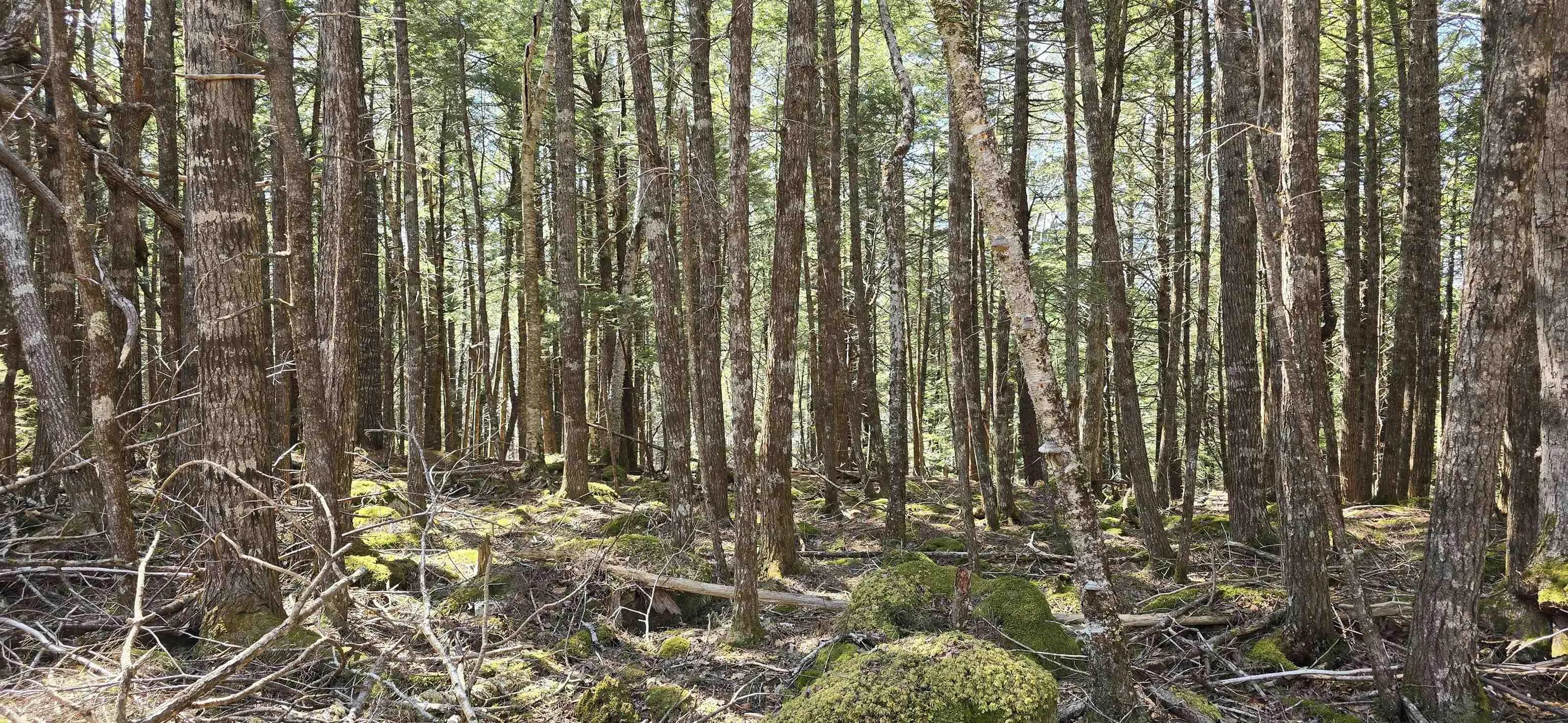 Beaver Row Lot 3, Labelle Ns B0t 1e0, ,Land,For Sale,Beaver,202506927