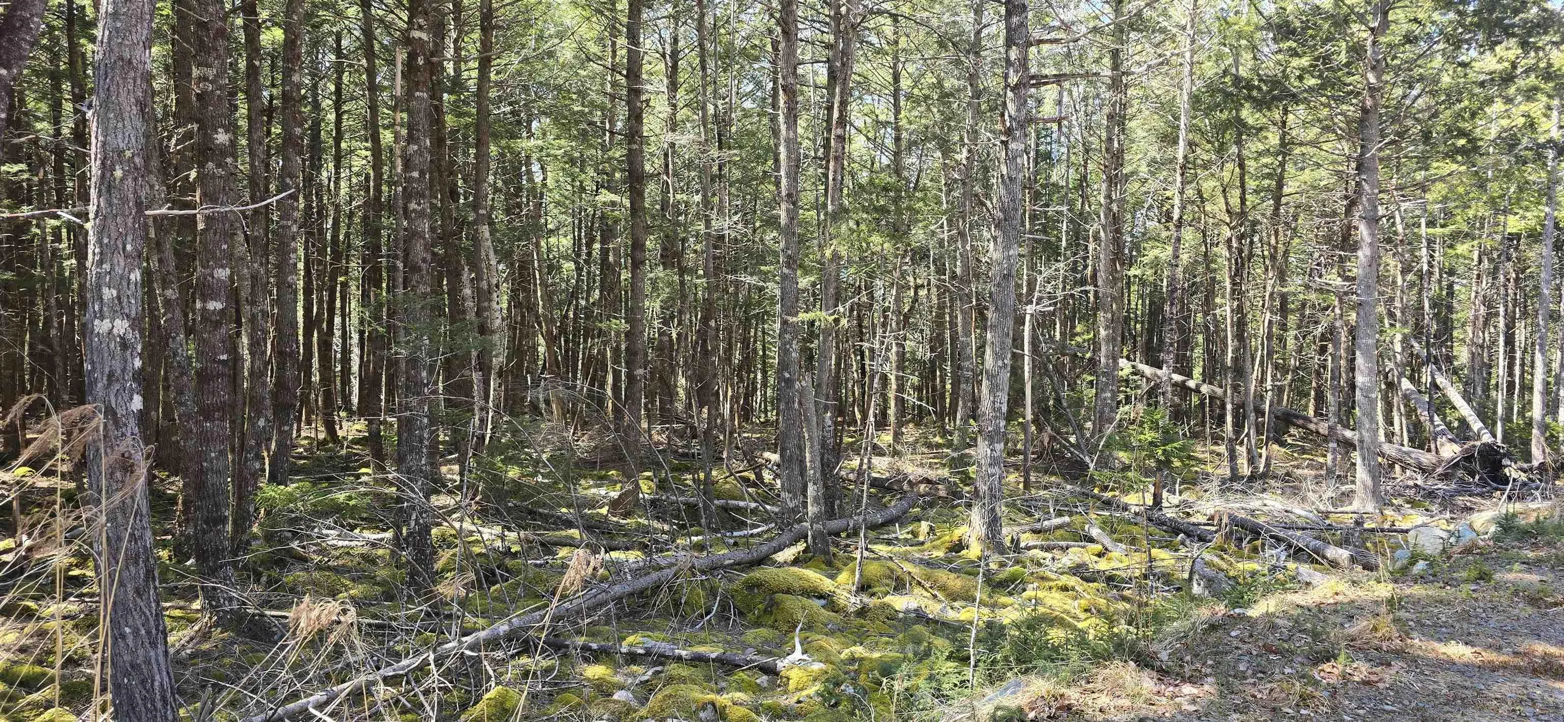 Beaver Row Lot 3, Labelle Ns B0t 1e0, ,Land,For Sale,Beaver,202506927
