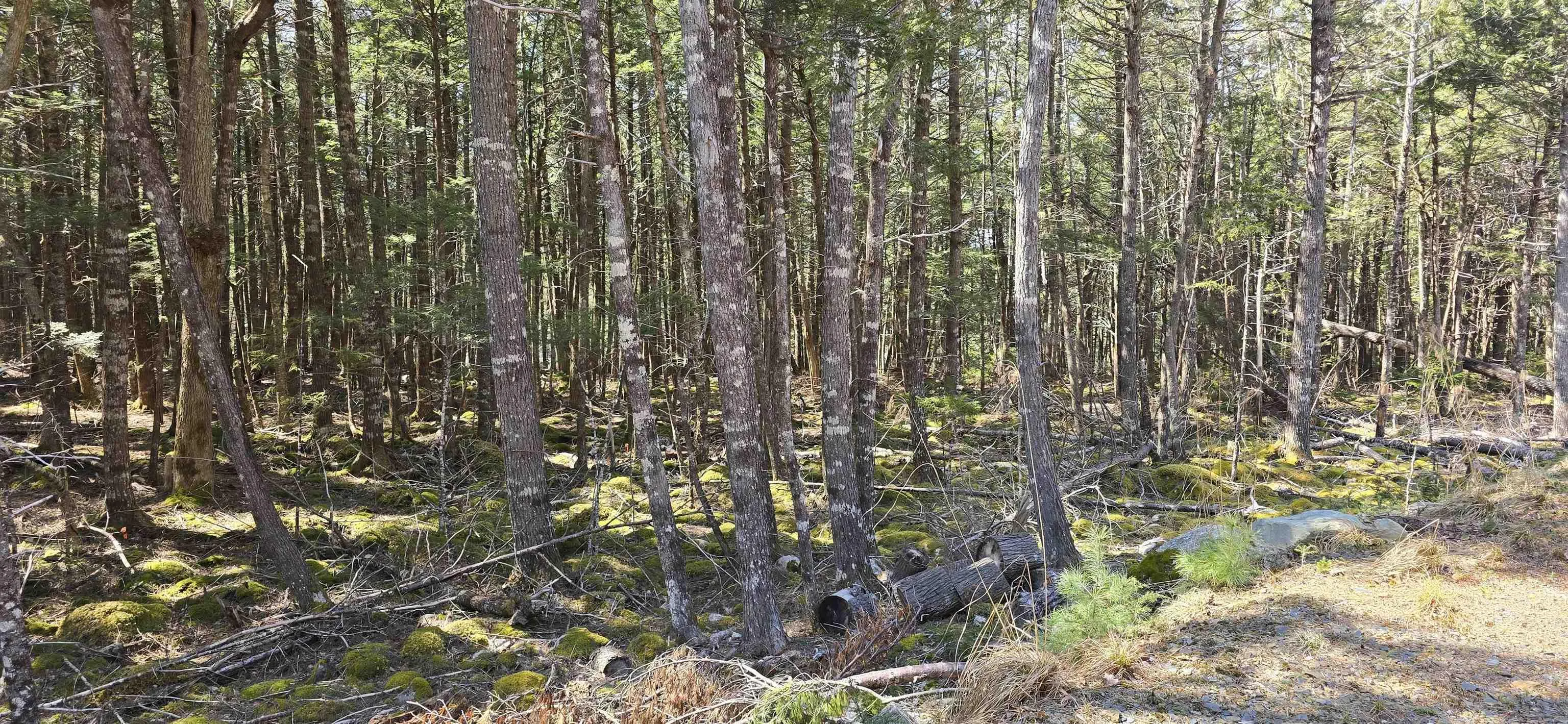 Beaver Row Lot 3, Labelle Ns B0t 1e0, ,Land,For Sale,Beaver,202506927