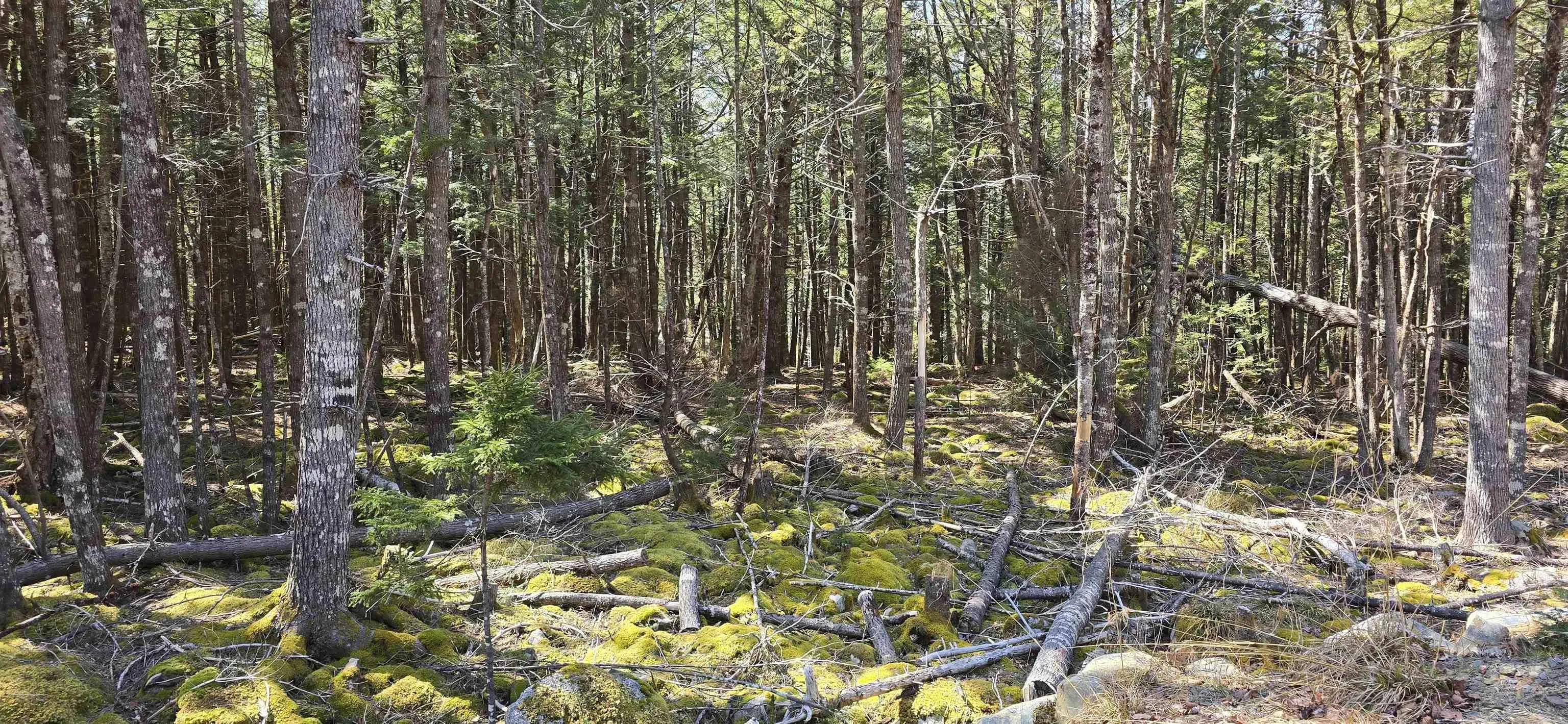 Beaver Row Lot 3, Labelle Ns B0t 1e0, ,Land,For Sale,Beaver,202506927