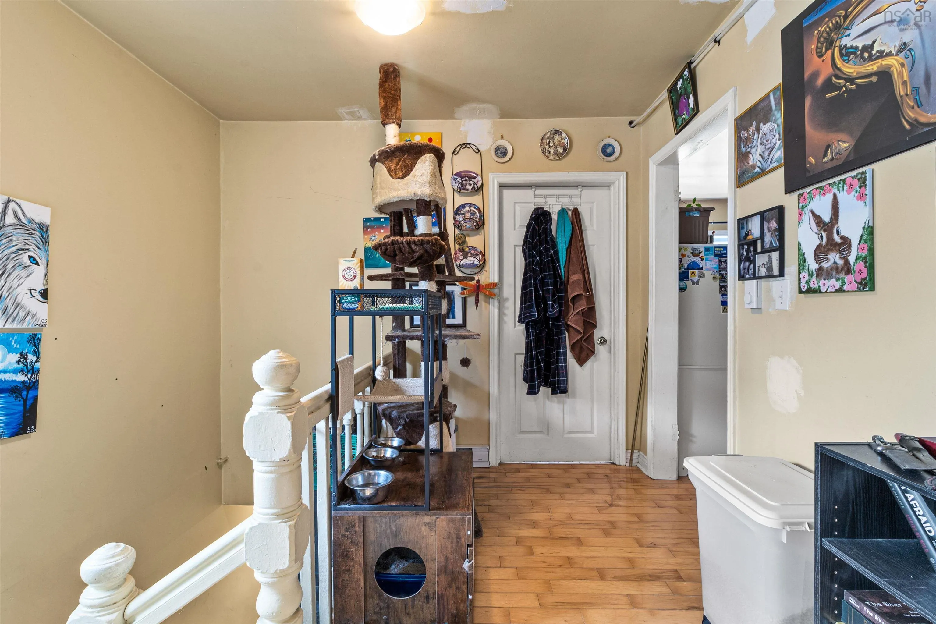 251 Pleasant Street, Dartmouth, NS B2Y 3S1, 4 Bedrooms Bedrooms, ,2 BathroomsBathrooms,Residential,For Sale,Pleasant,202521264