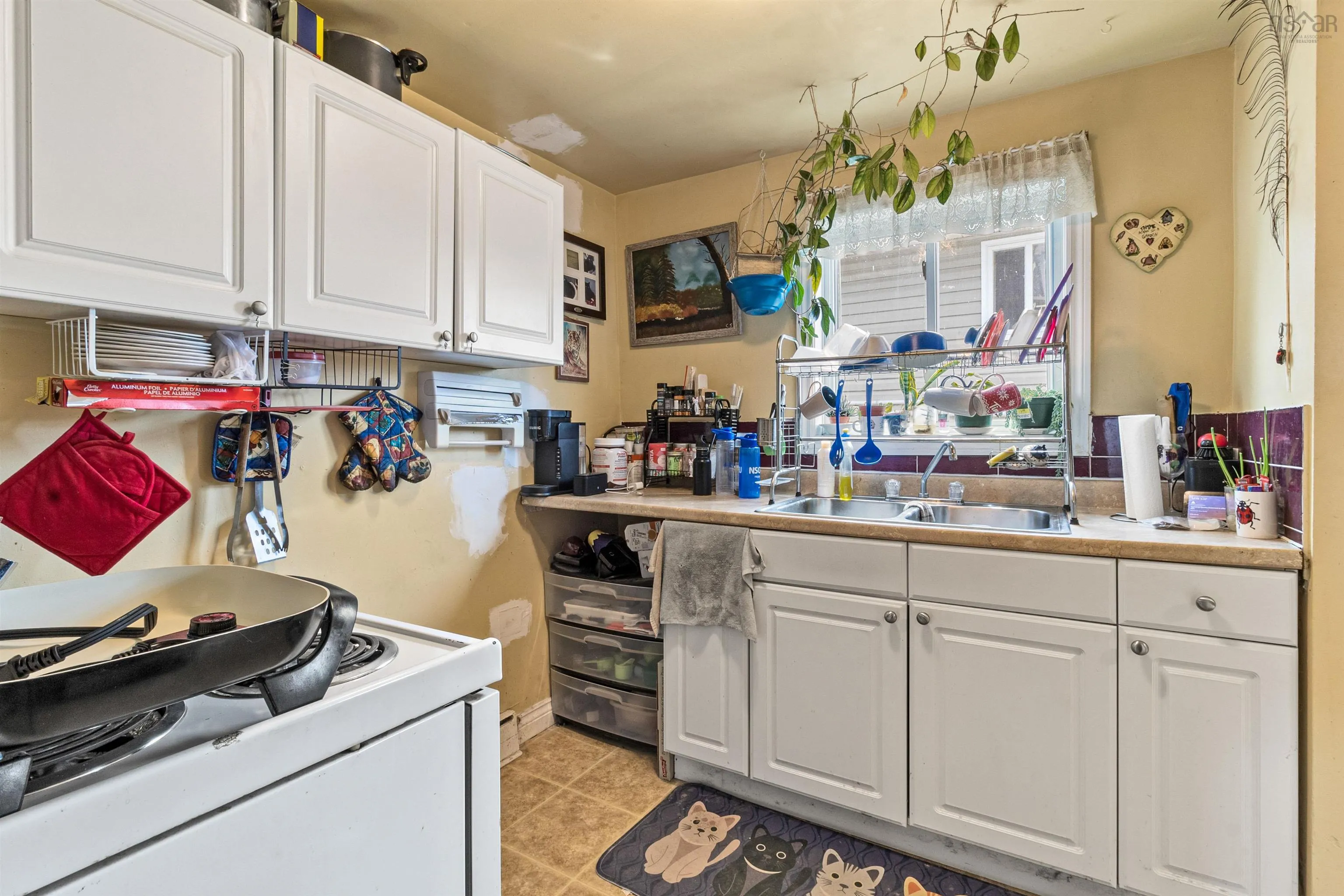 251 Pleasant Street, Dartmouth, NS B2Y 3S1, 4 Bedrooms Bedrooms, ,2 BathroomsBathrooms,Residential,For Sale,Pleasant,202521264