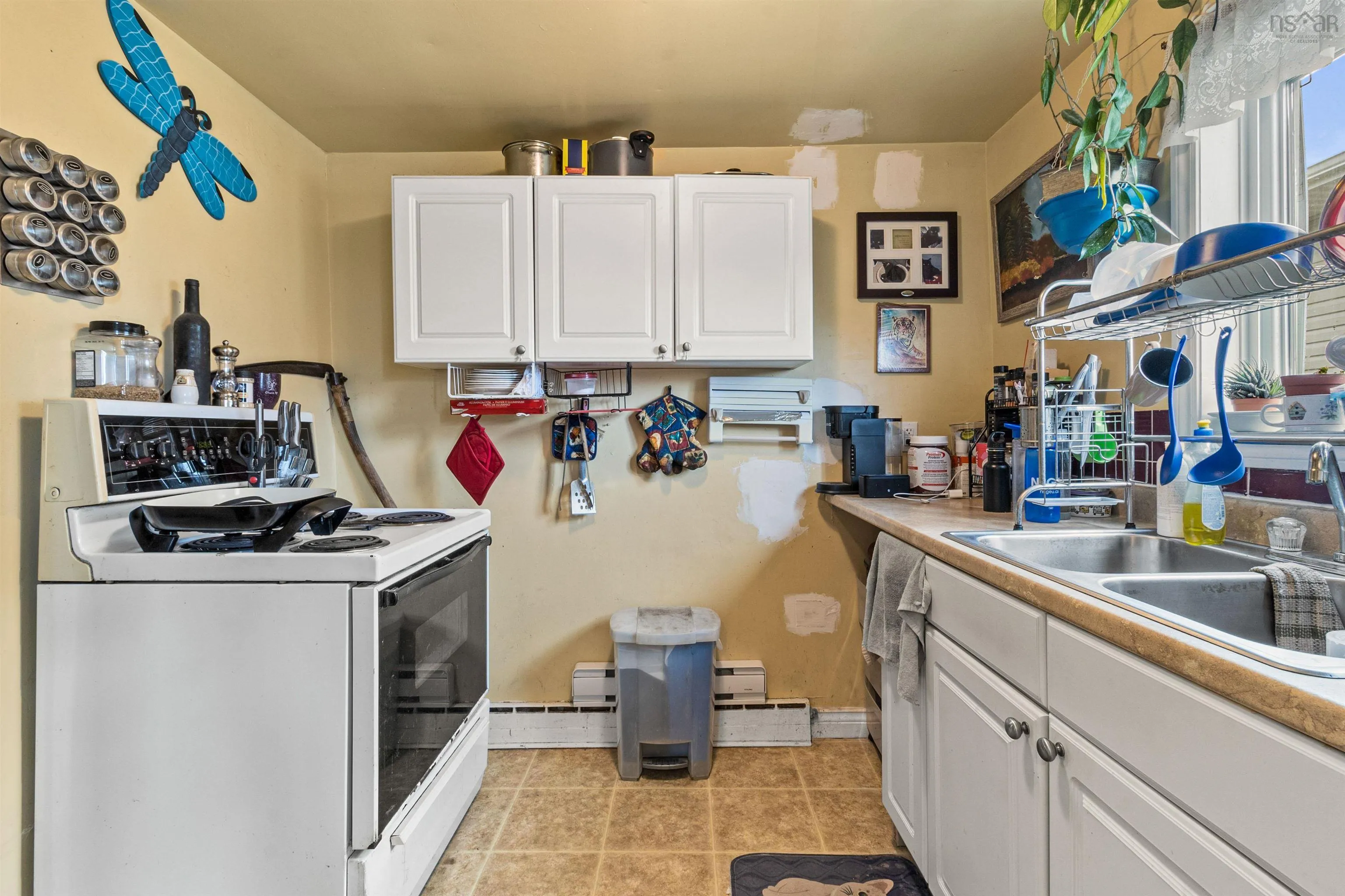 251 Pleasant Street, Dartmouth, NS B2Y 3S1, 4 Bedrooms Bedrooms, ,2 BathroomsBathrooms,Residential,For Sale,Pleasant,202521264