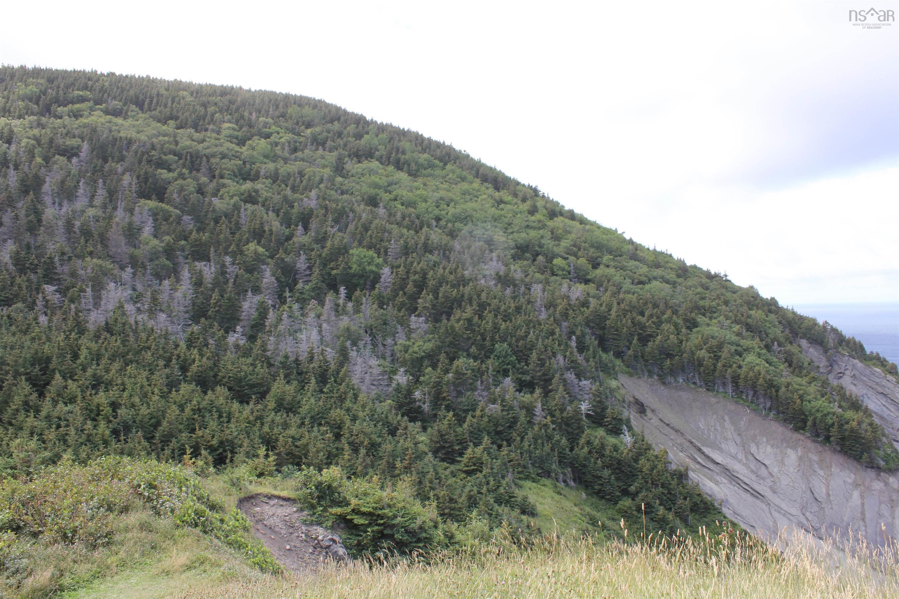 Meat Cove Road, Meat Cove NS B0C 1E0, ,Land,For Sale,Meat Cove,202220963