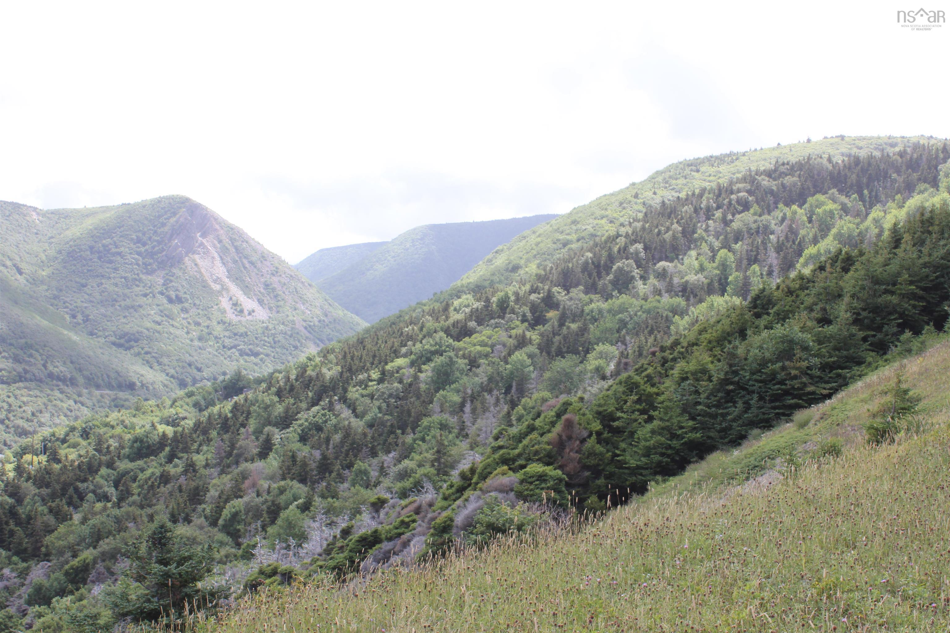 Meat Cove Road, Meat Cove NS B0C 1E0, ,Land,For Sale,Meat Cove,202220963