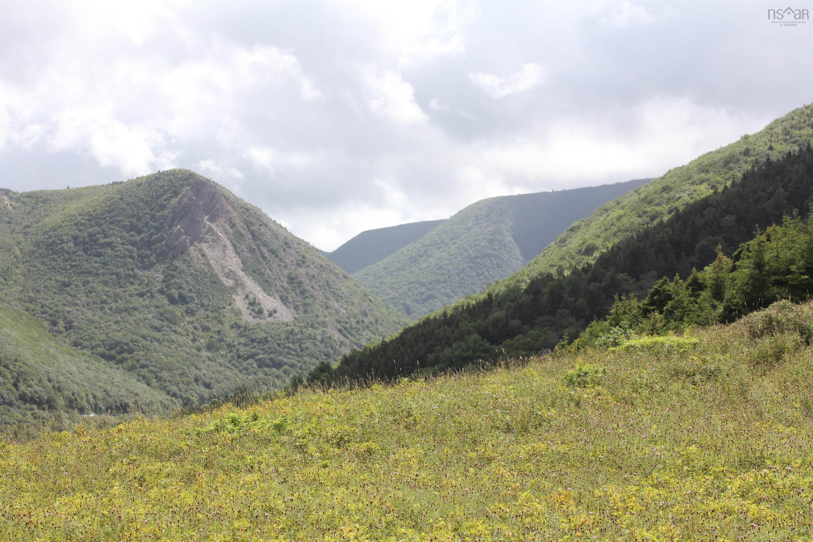 Meat Cove Road, Meat Cove NS B0C 1E0, ,Land,For Sale,Meat Cove,202220963