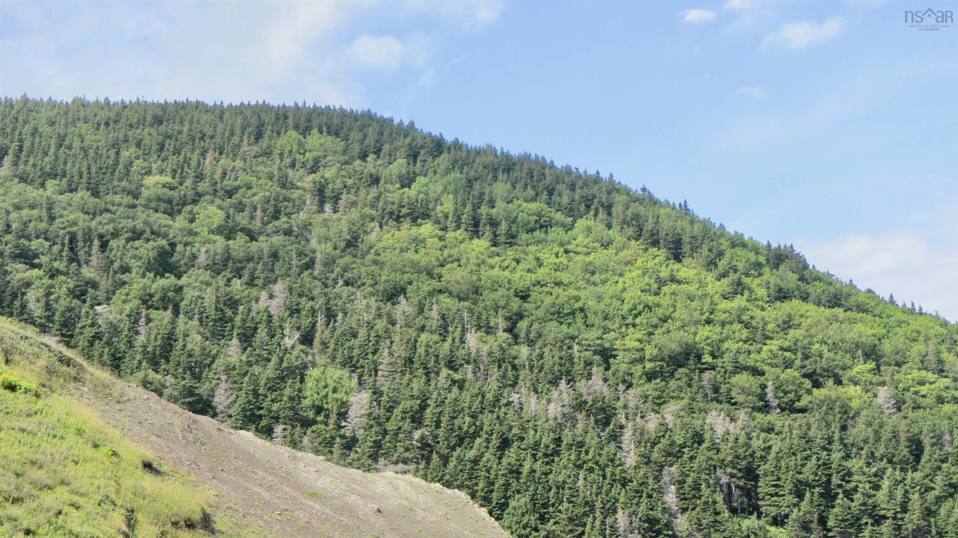 Meat Cove Road, Meat Cove NS B0C 1E0, ,Land,For Sale,Meat Cove,202220963