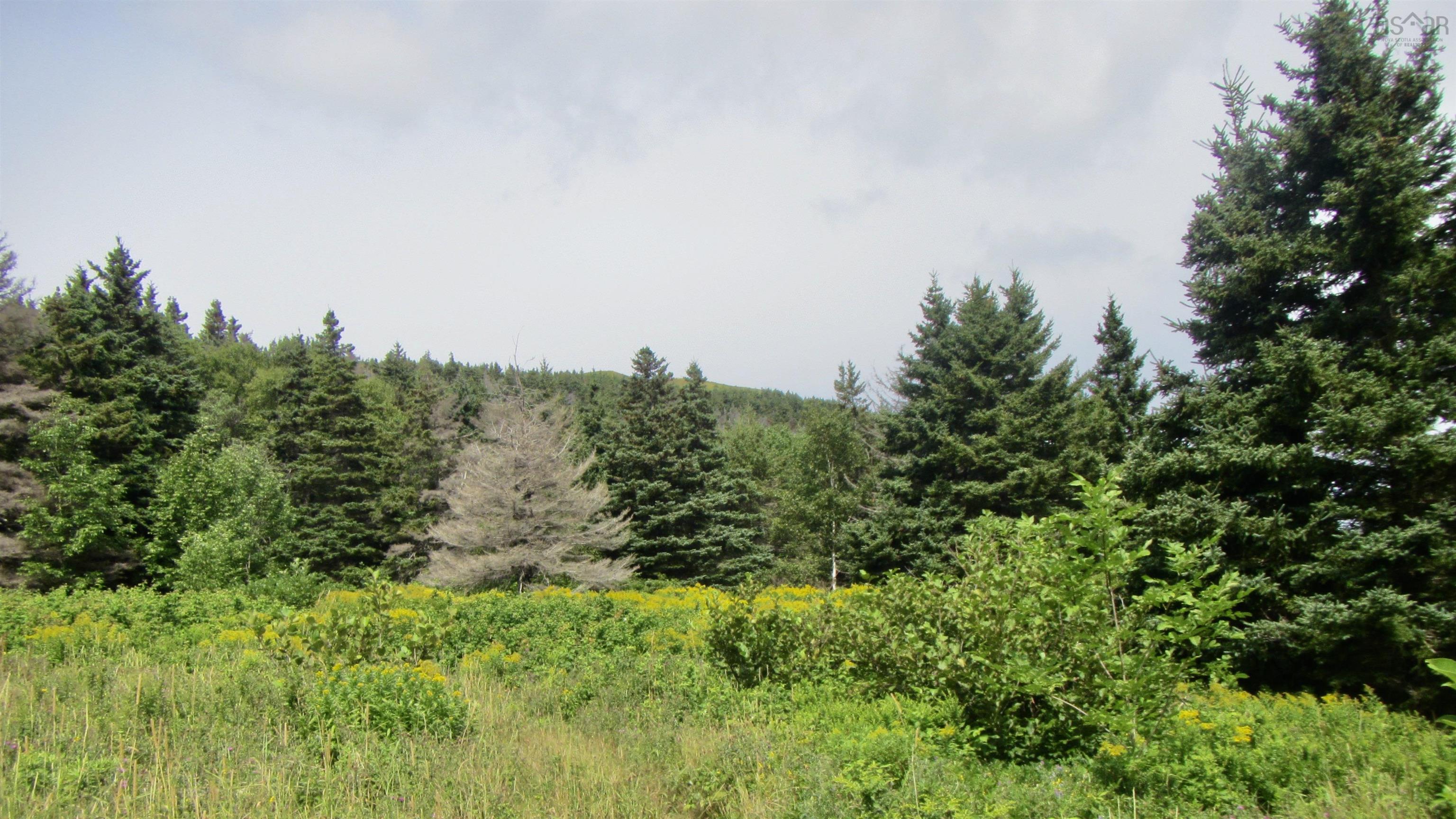 Meat Cove Road, Meat Cove NS B0C 1E0, ,Land,For Sale,Meat Cove,202220963