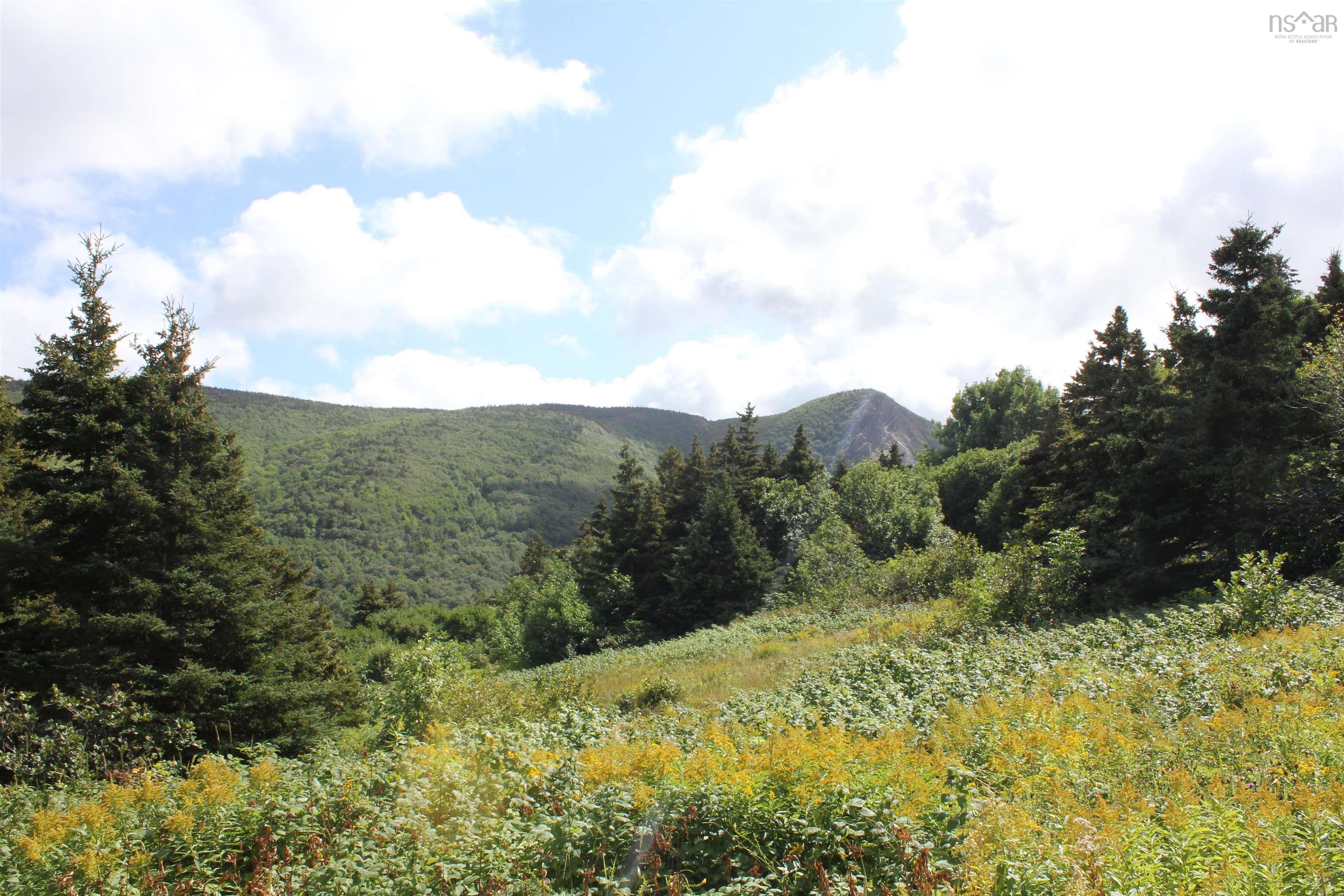 Meat Cove Road, Meat Cove NS B0C 1E0, ,Land,For Sale,Meat Cove,202220963
