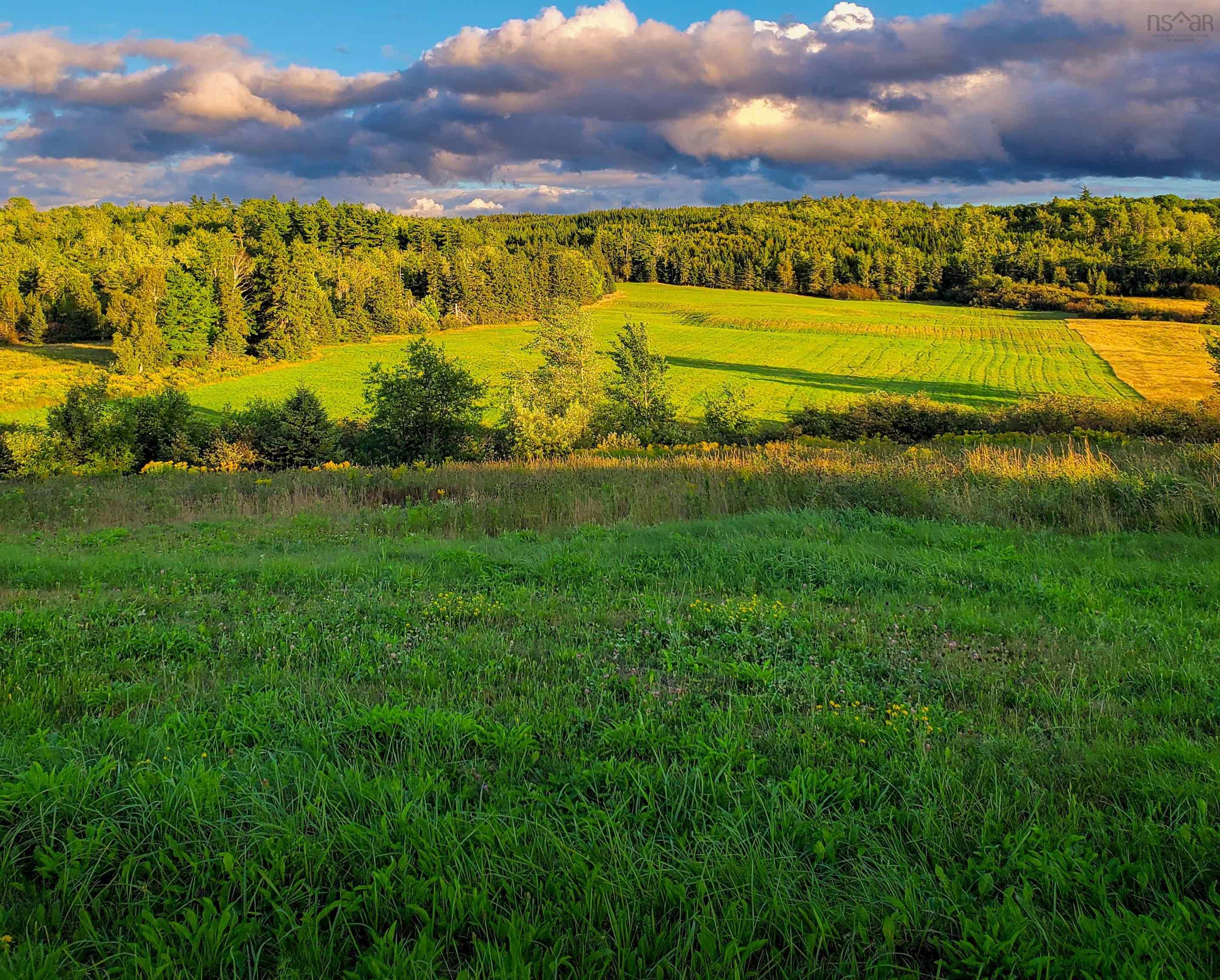 Stewiacke Road LOT 1, South Branch NS B0N 2P0, ,Land,For Sale,Stewiacke,202311044