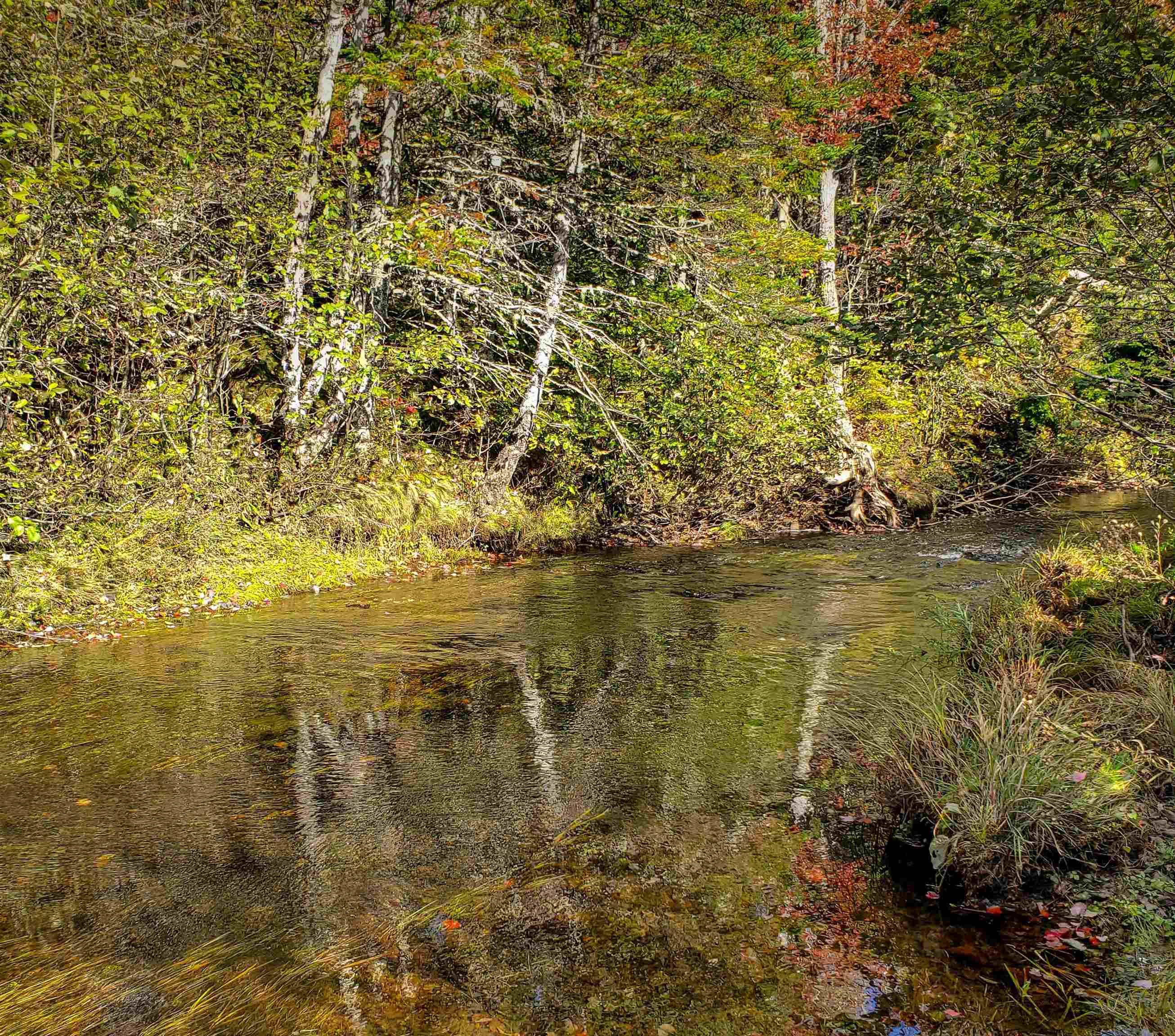 Stewiacke Road LOT 1, South Branch NS B0N 2P0, ,Land,For Sale,Stewiacke,202311044
