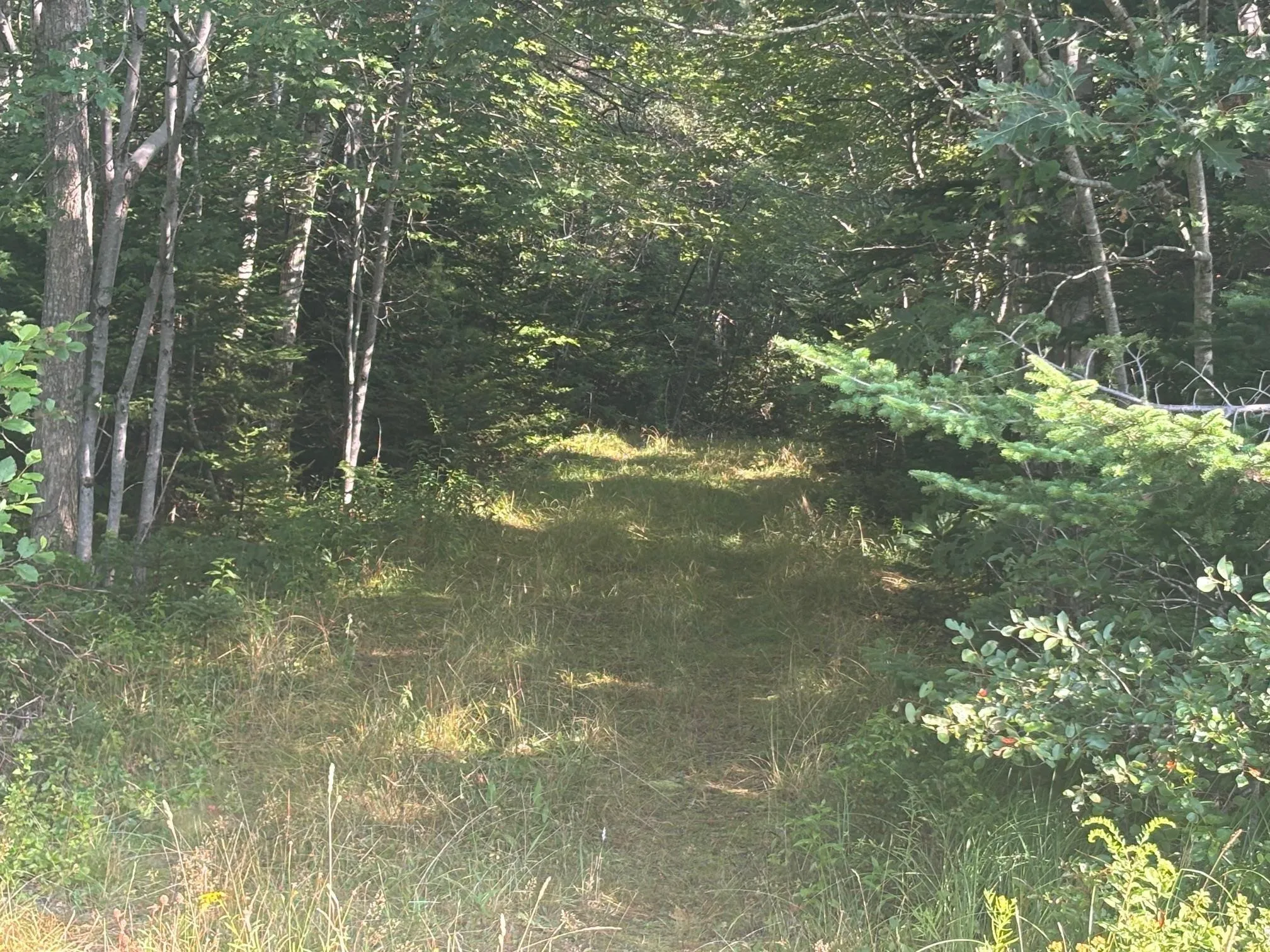 Central Port Mouton Road, Port Mouton, NS B0T 1T0, ,Land,For Sale,Central Port Mouton,202520734