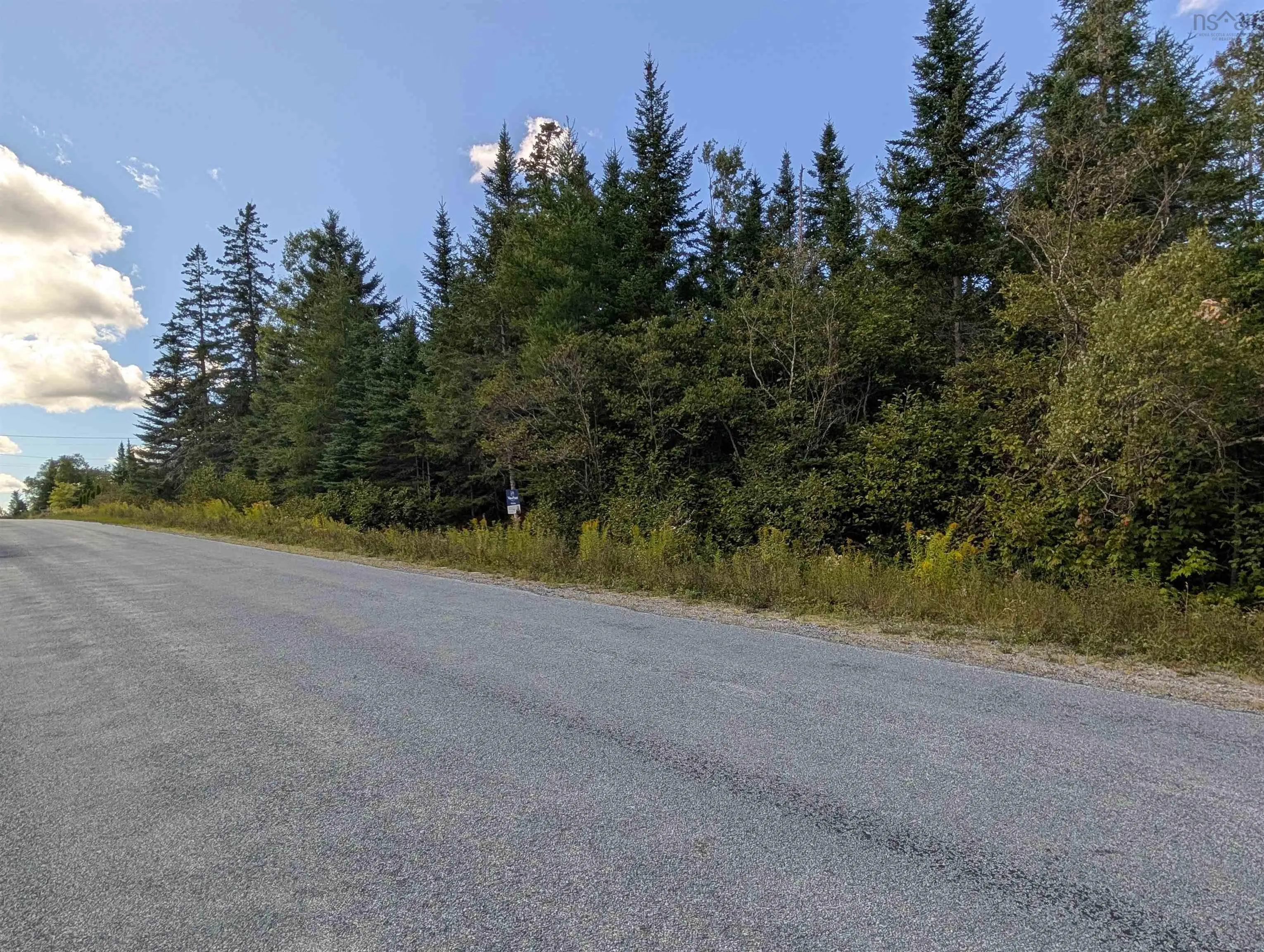 Pleasant Valley Road, Upper Musquodoboit, NS B0N 2M0, ,Land,For Sale,Pleasant Valley,202522026
