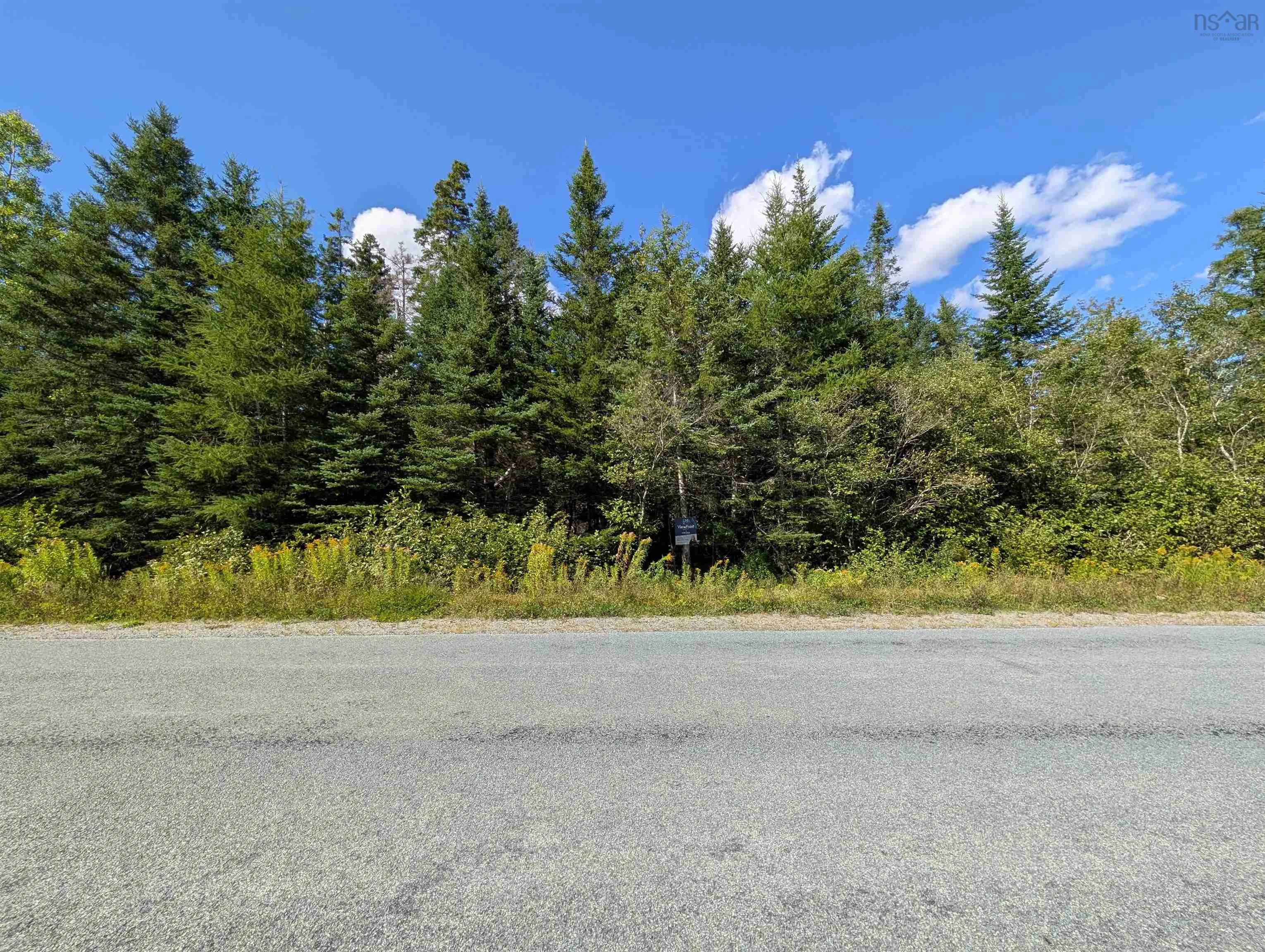 Pleasant Valley Road, Upper Musquodoboit, NS B0N 2M0, ,Land,For Sale,Pleasant Valley,202522026