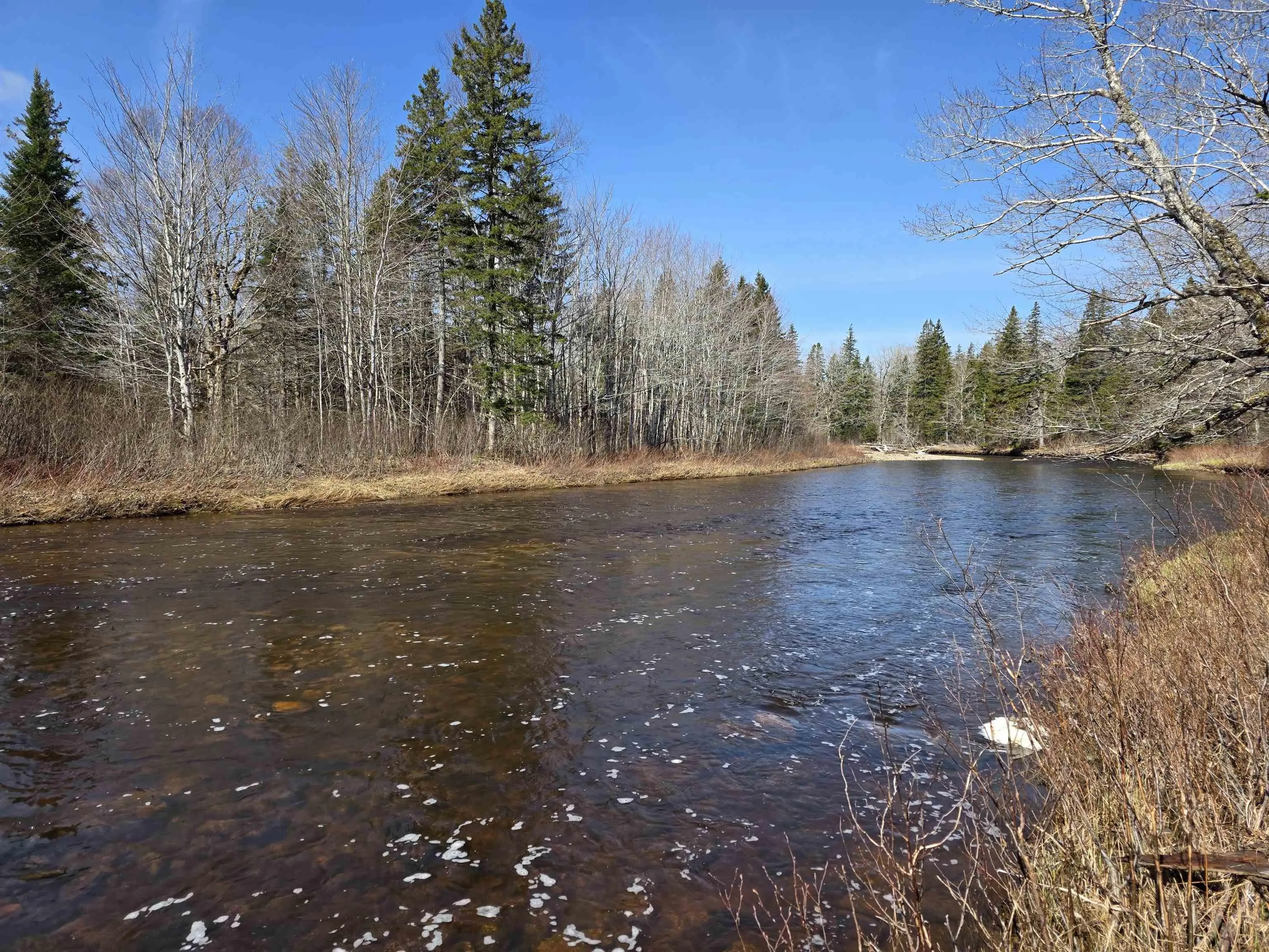 Macleod Settlement Road, Upper Southwest Mabou Ns B0e 2w0, ,Land,For Sale,Macleod Settlement,202509856