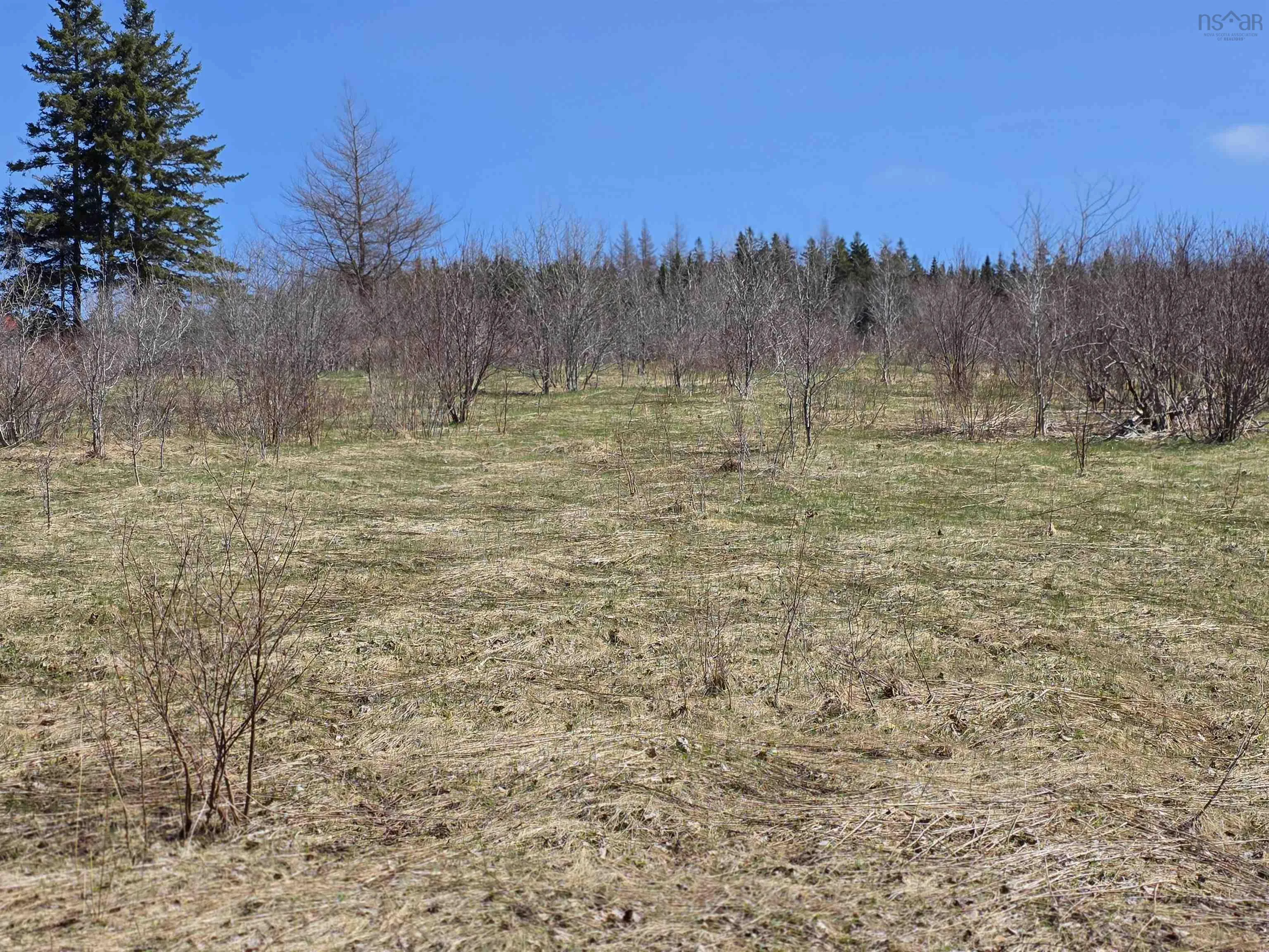 Macleod Settlement Road, Upper Southwest Mabou Ns B0e 2w0, ,Land,For Sale,Macleod Settlement,202509856