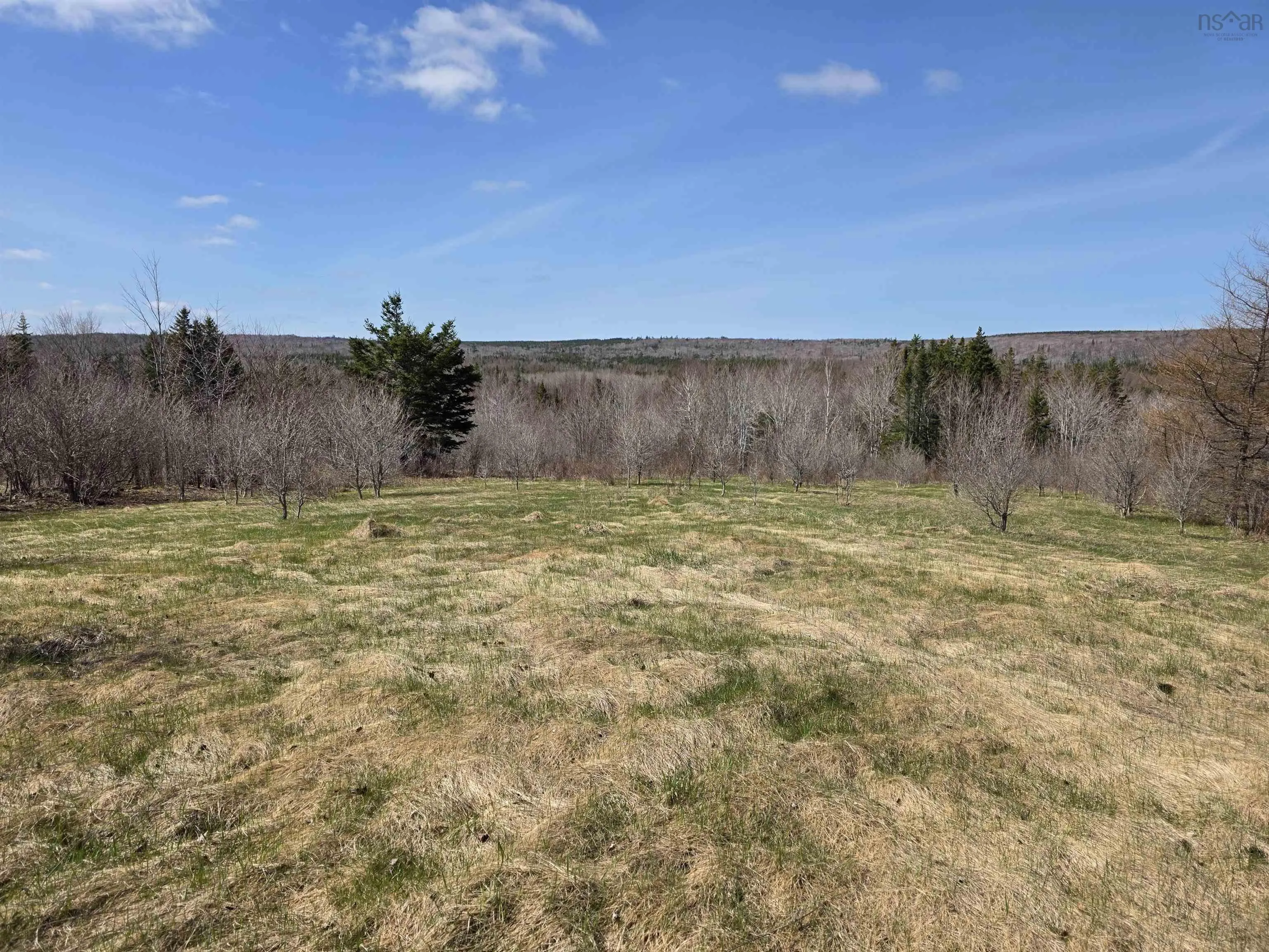 Macleod Settlement Road, Upper Southwest Mabou Ns B0e 2w0, ,Land,For Sale,Macleod Settlement,202509856