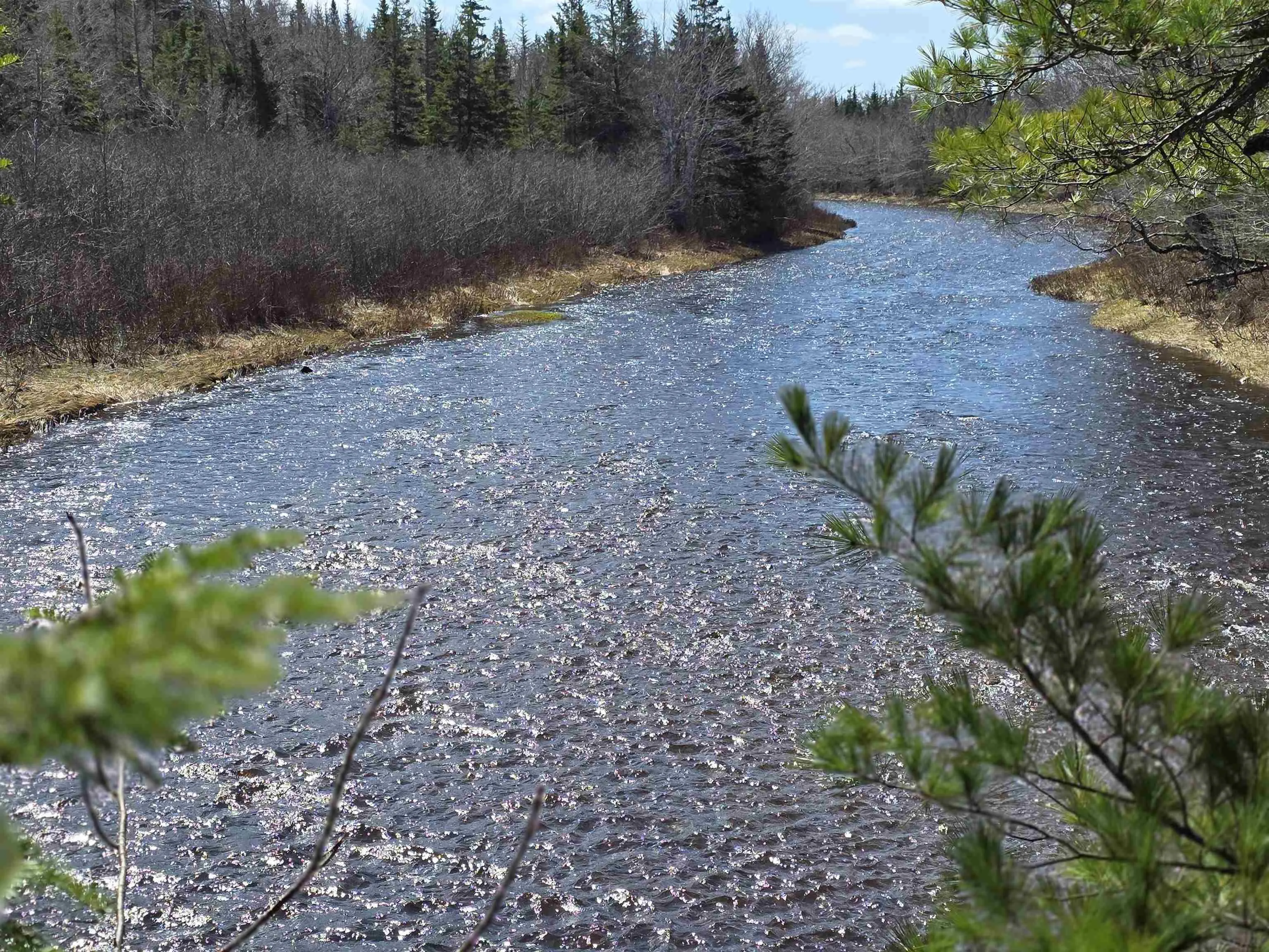 Macleod Settlement Road, Upper Southwest Mabou Ns B0e 2w0, ,Land,For Sale,Macleod Settlement,202509856