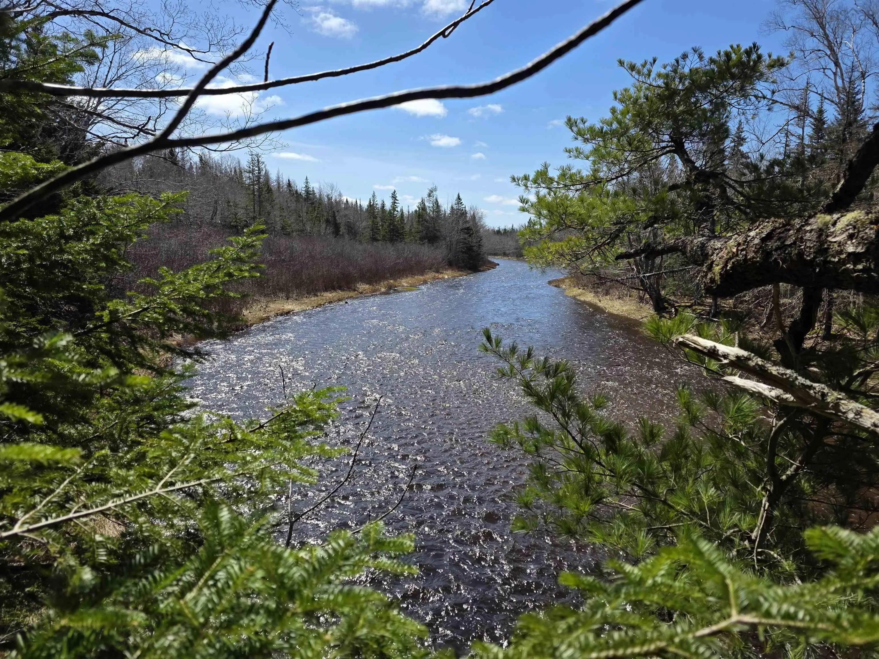 Macleod Settlement Road, Upper Southwest Mabou Ns B0e 2w0, ,Land,For Sale,Macleod Settlement,202509856
