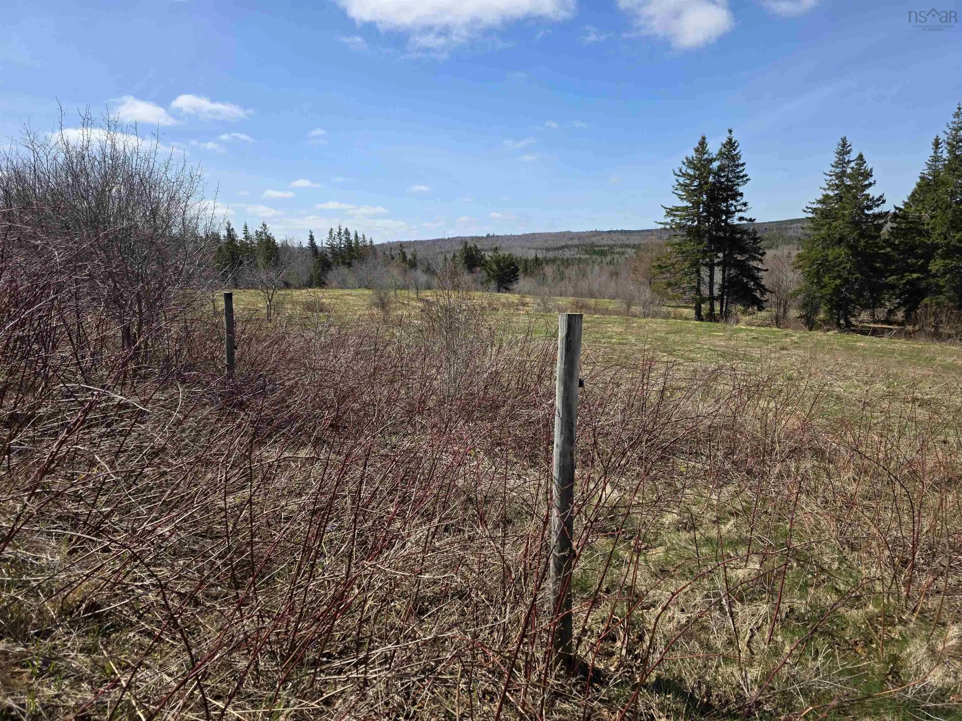 Macleod Settlement Road, Upper Southwest Mabou Ns B0e 2w0, ,Land,For Sale,Macleod Settlement,202509856